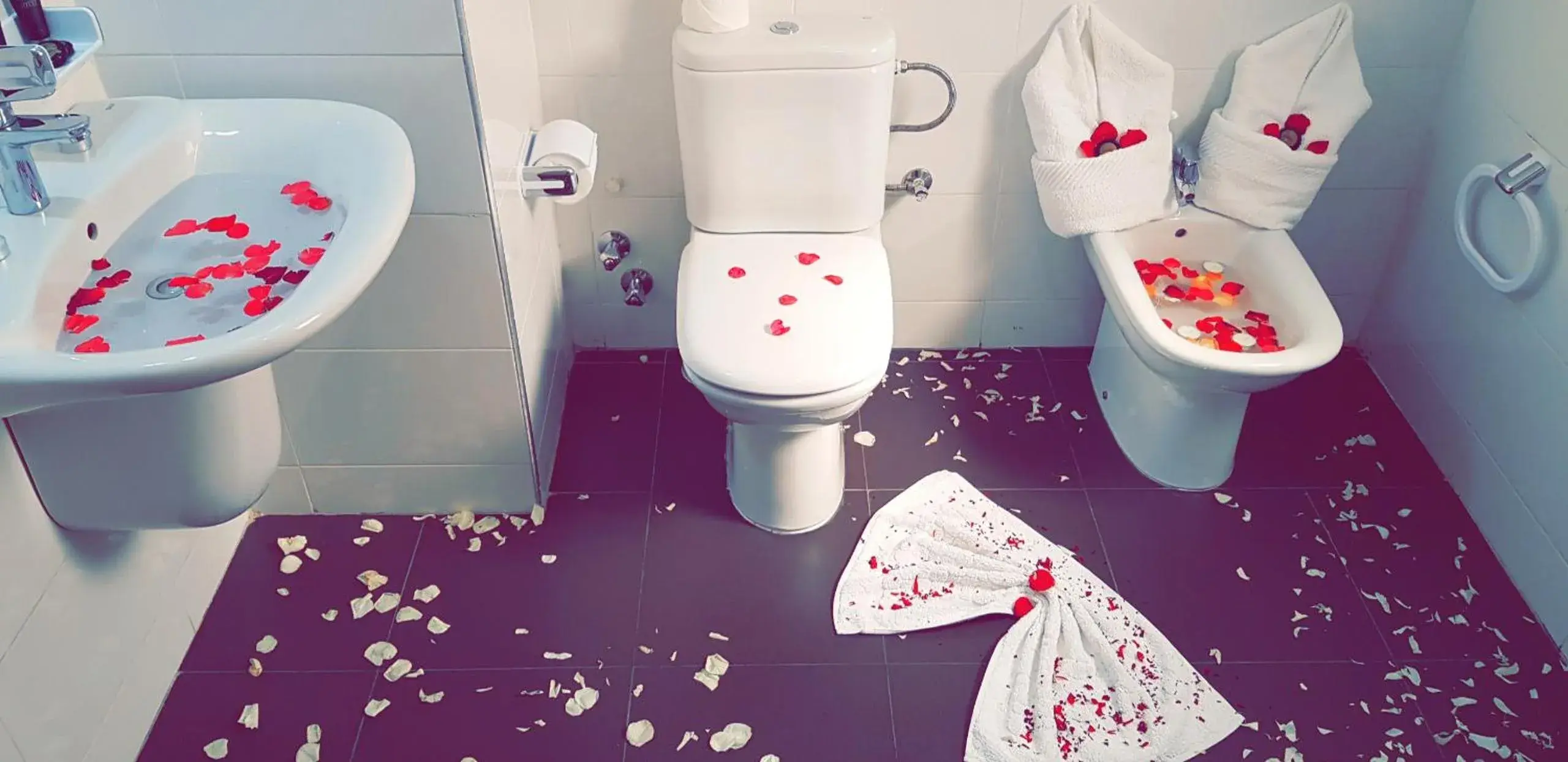 Triple Room in Al Akhawayn Triple Room in Al Akhawayn