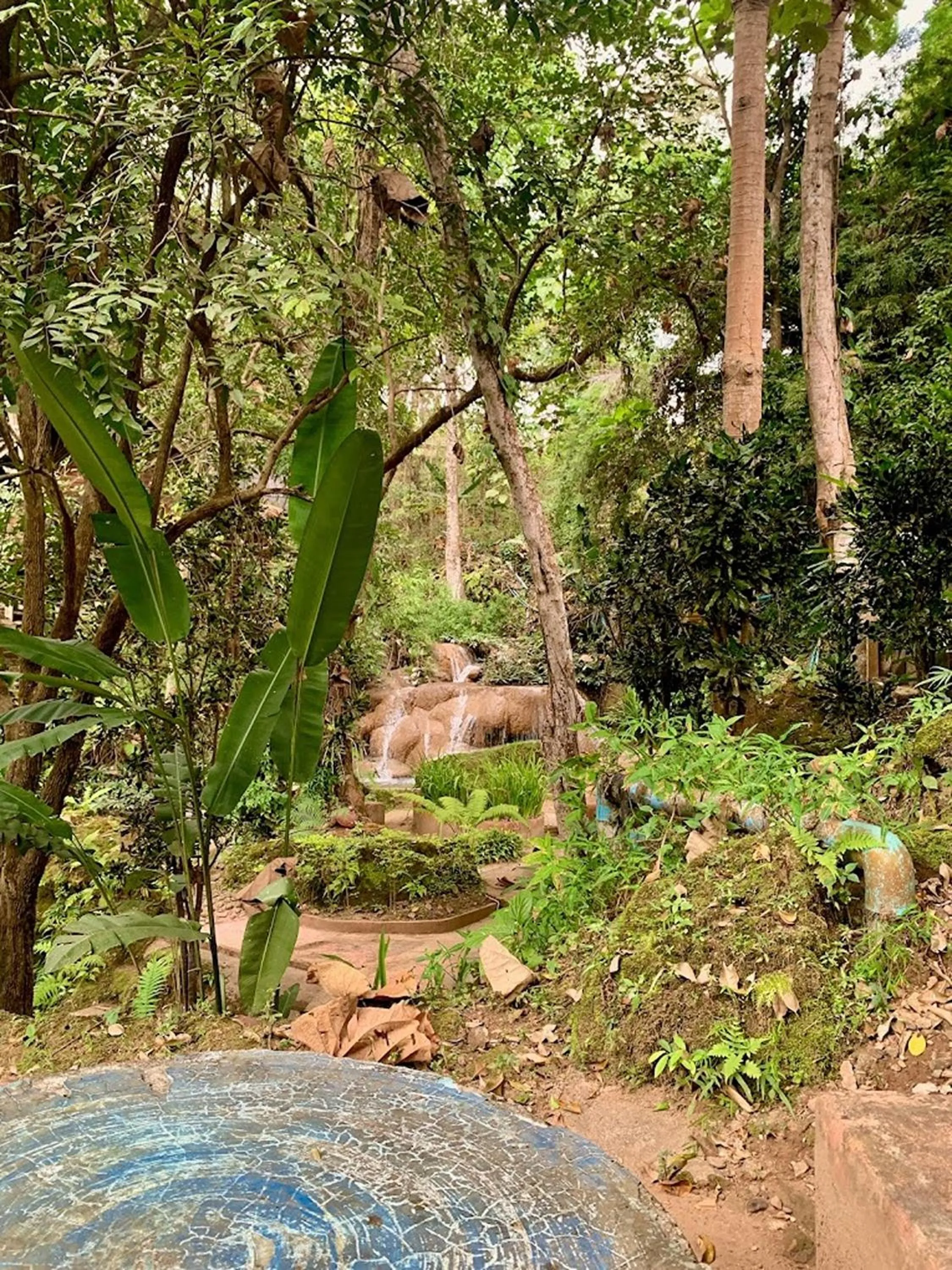 Area and facilities in The Cascade - Mae Taeng Waterfall Bungalows