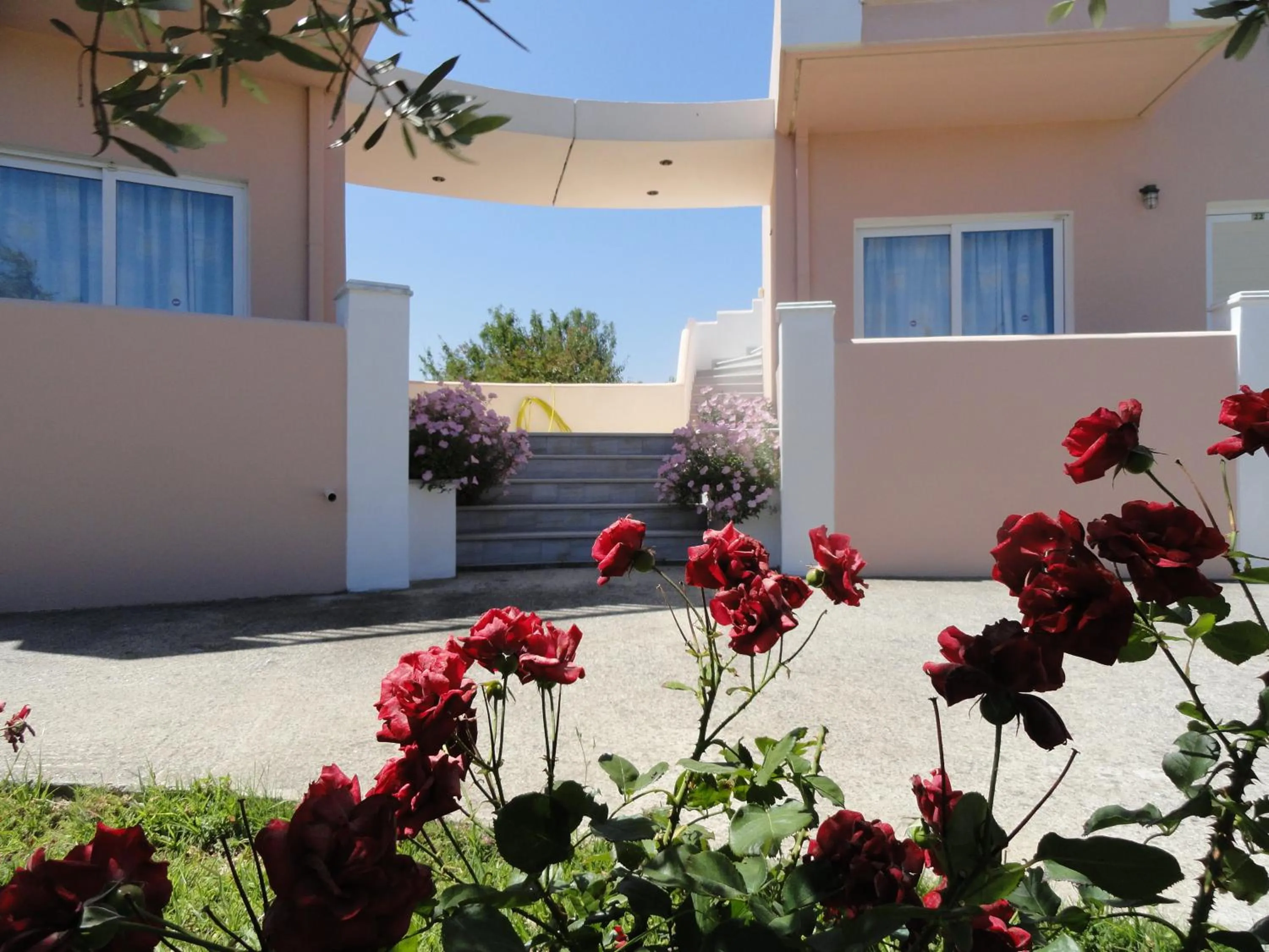 Garden in Pardalakis Studios