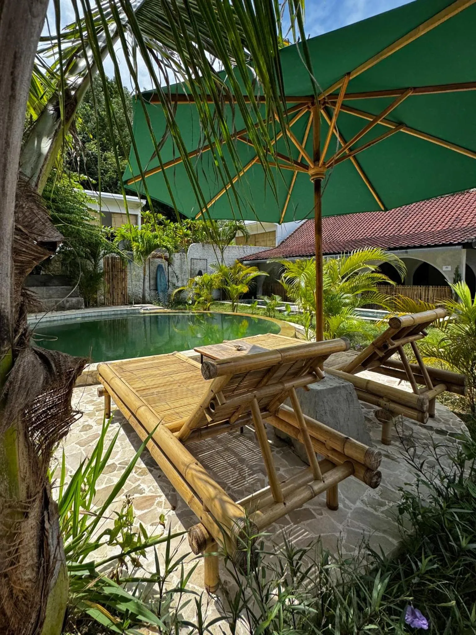 sunbed in Palmhouse Boutique Hotel