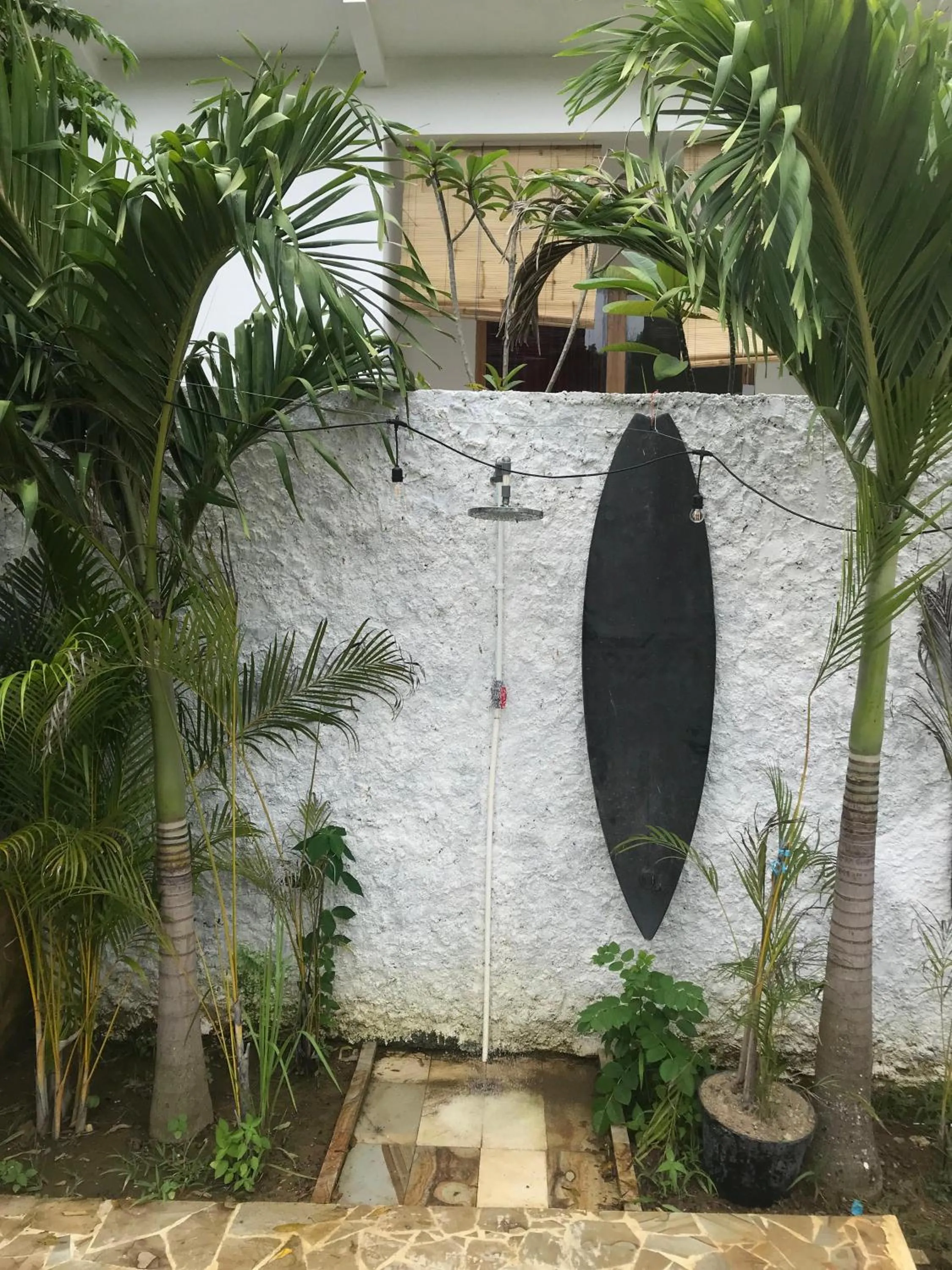 Garden view in Palmhouse Boutique Hotel