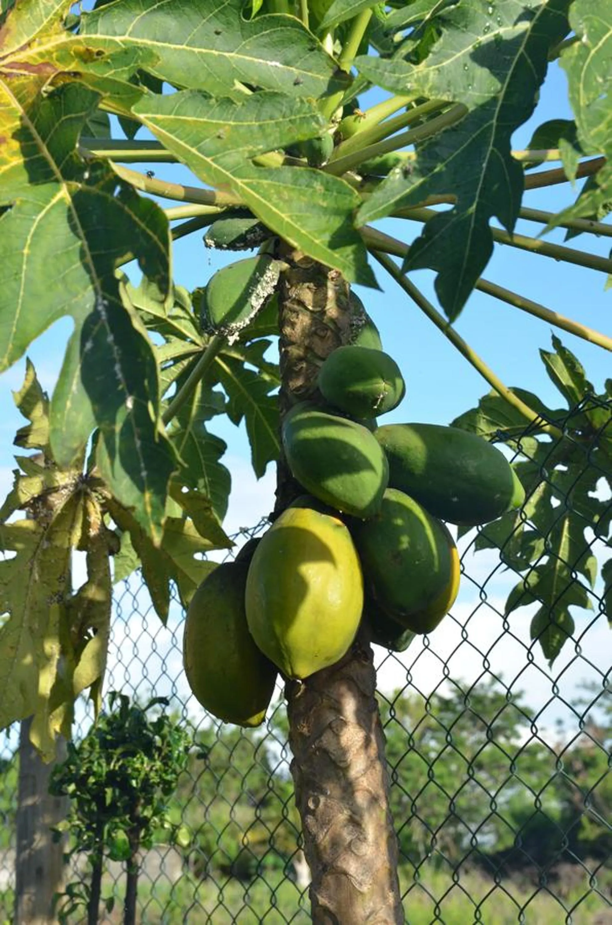 Other in La Maison Soleil