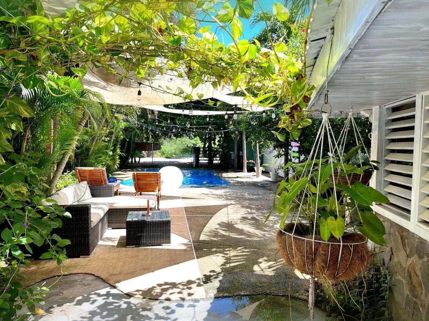 El Reinas by Sugar's Monkey El Reinas by Sugar's Monkey