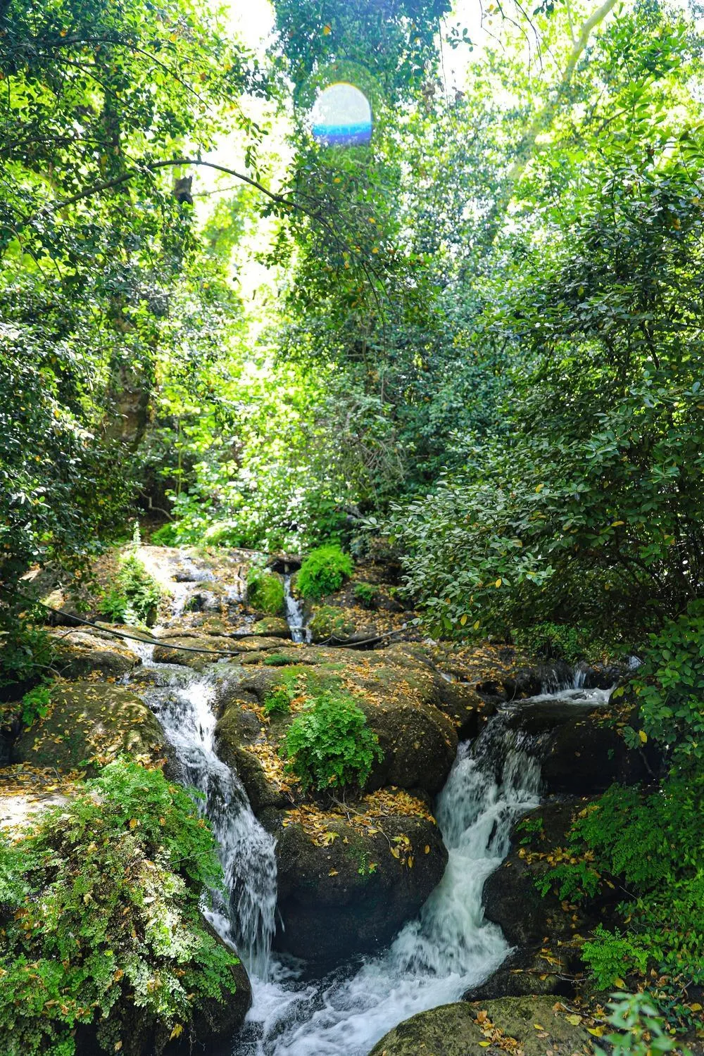 Natural landscape in Selale Cennet Evleri