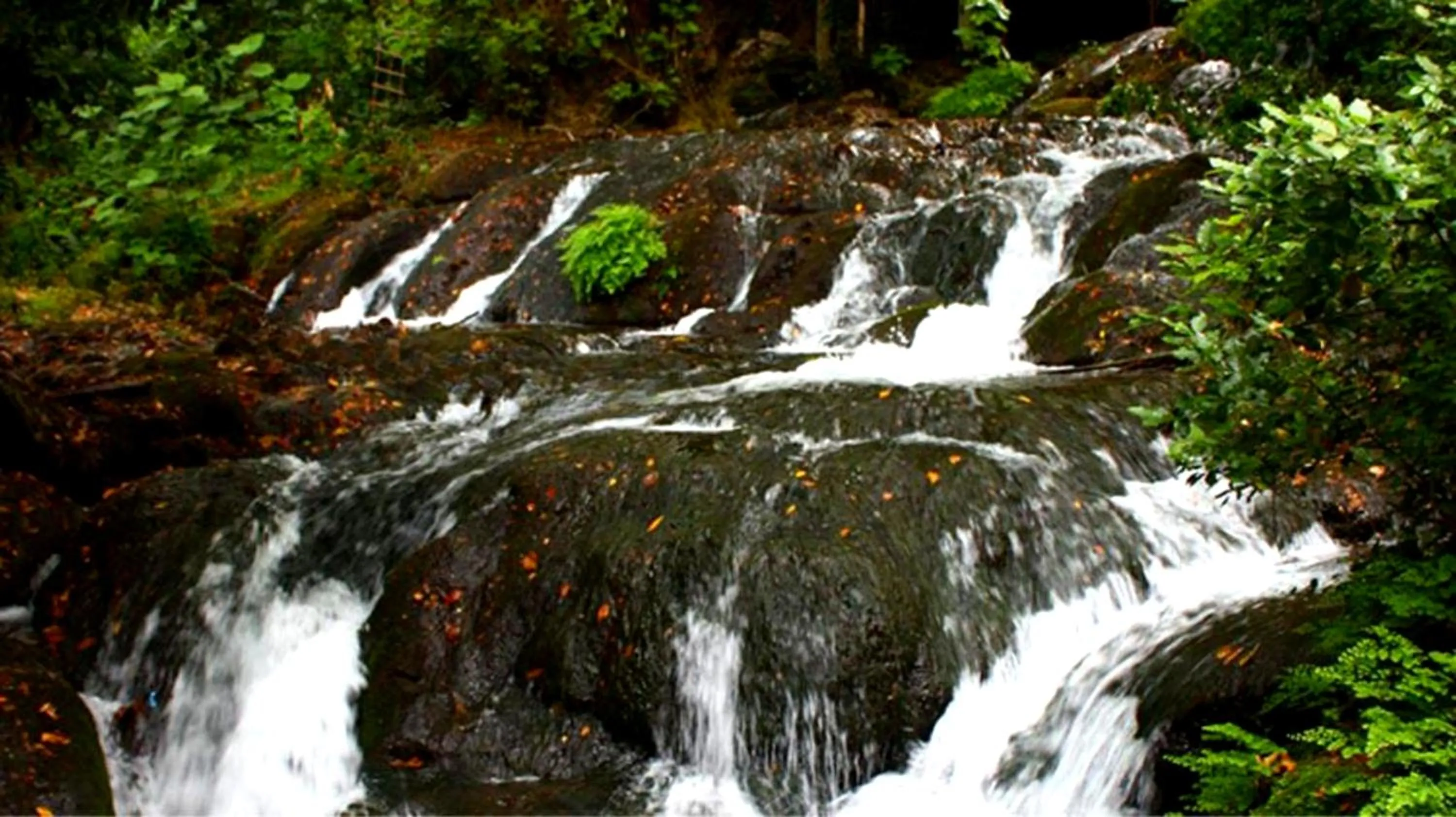 Garden in Selale Cennet Evleri