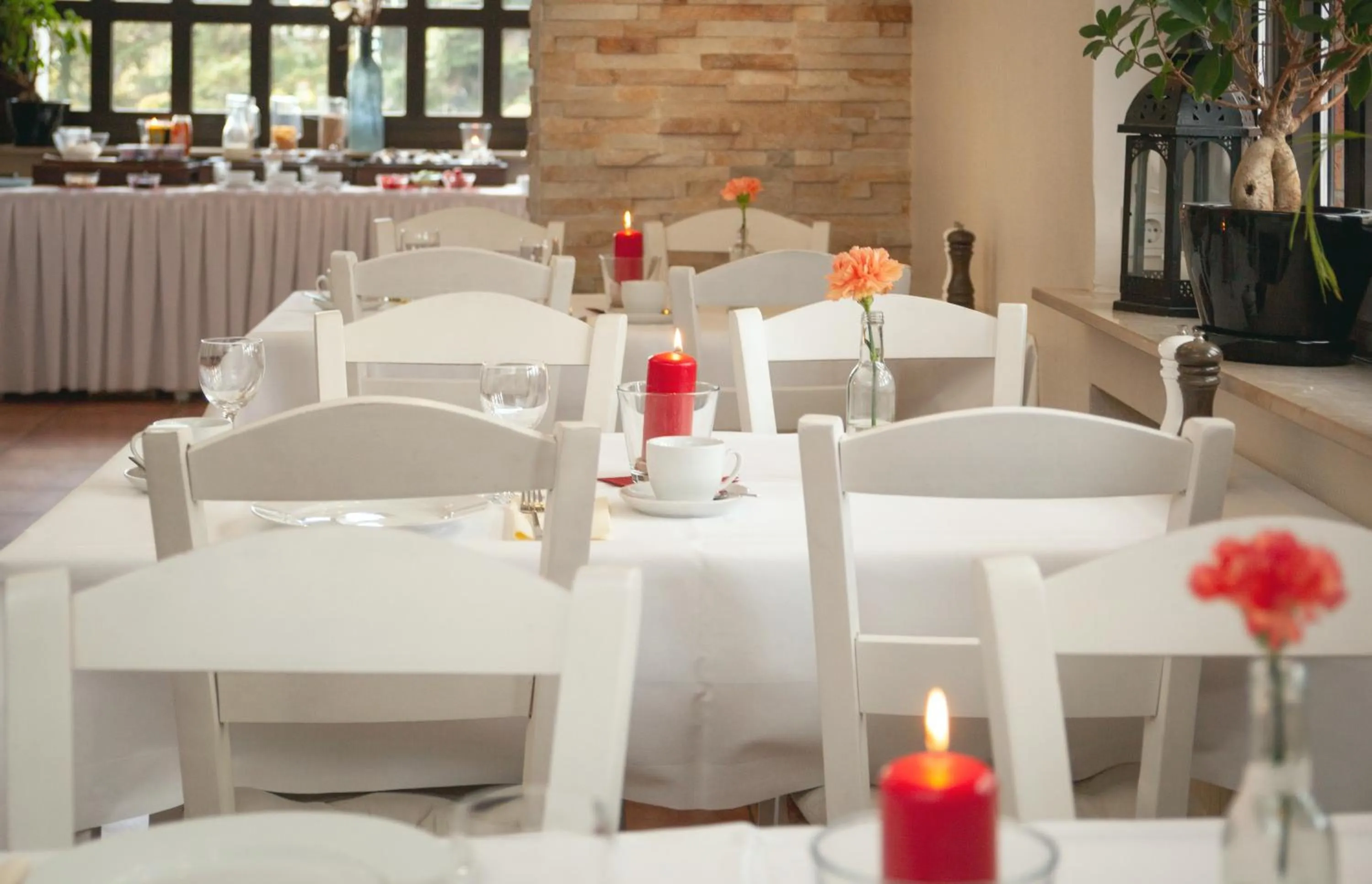 Breakfast in Hotel Omega