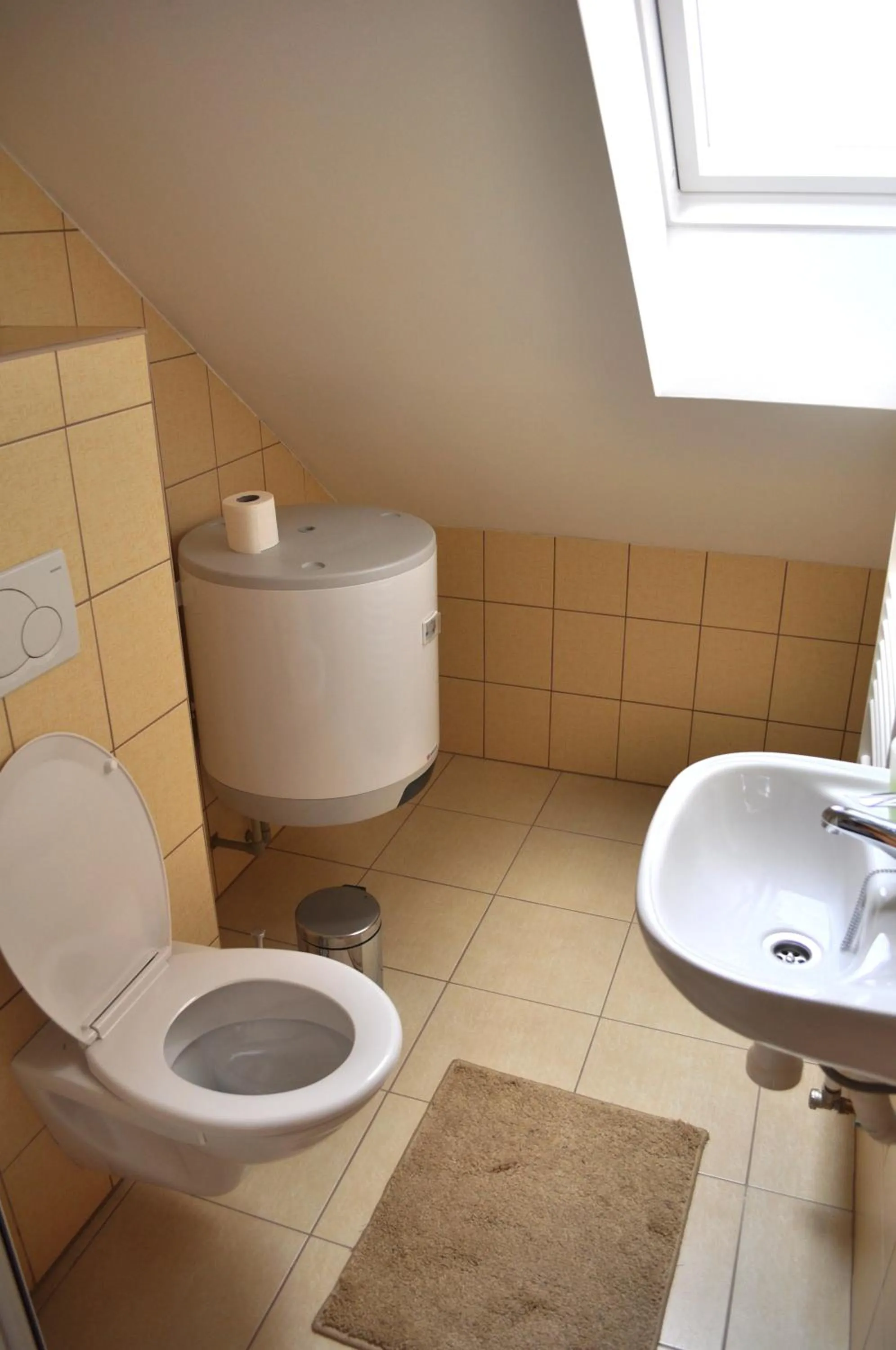 Toilet in Hotel Na Velké hospodě