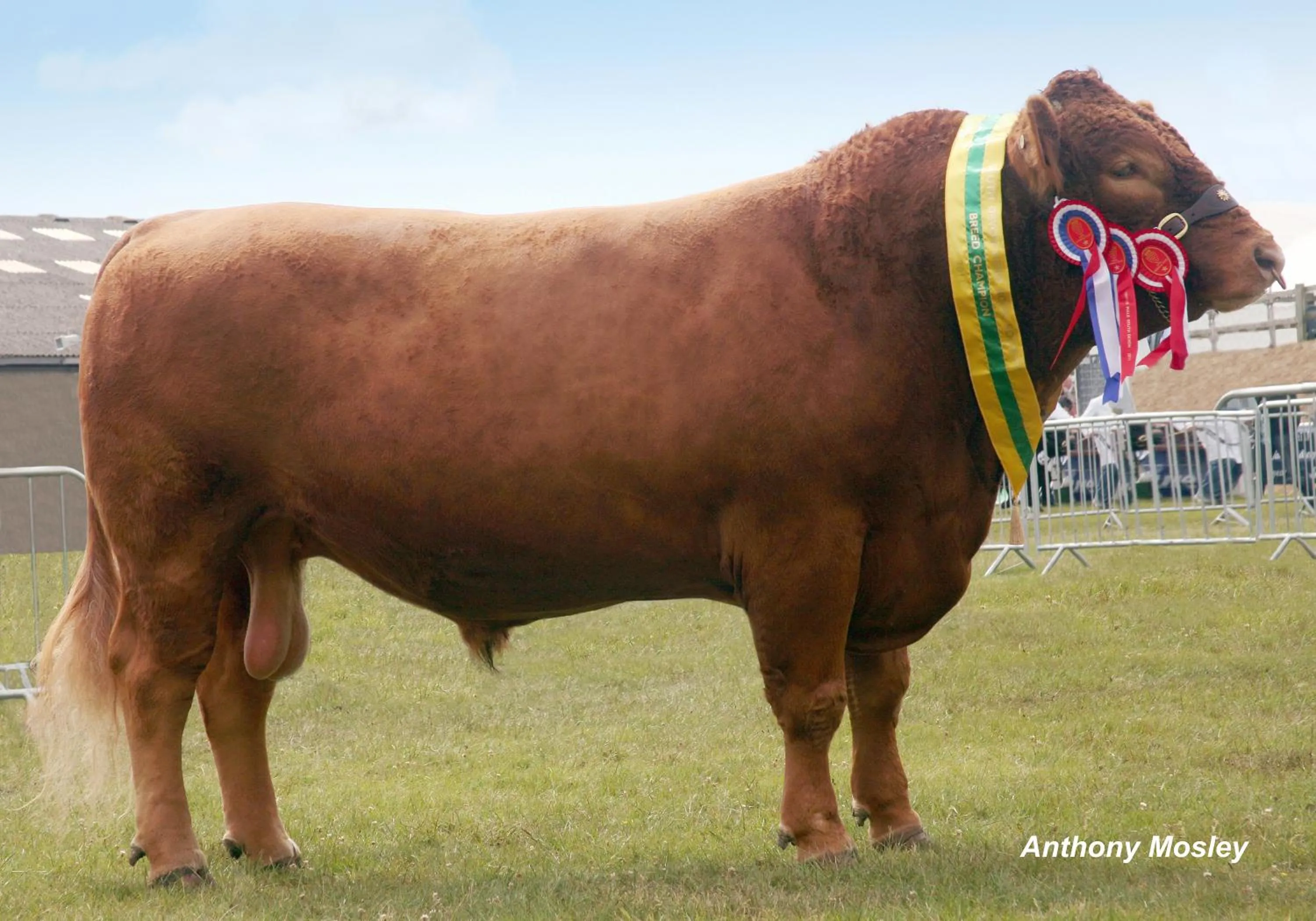 Facade/entrance in Tregondale Manor Farm