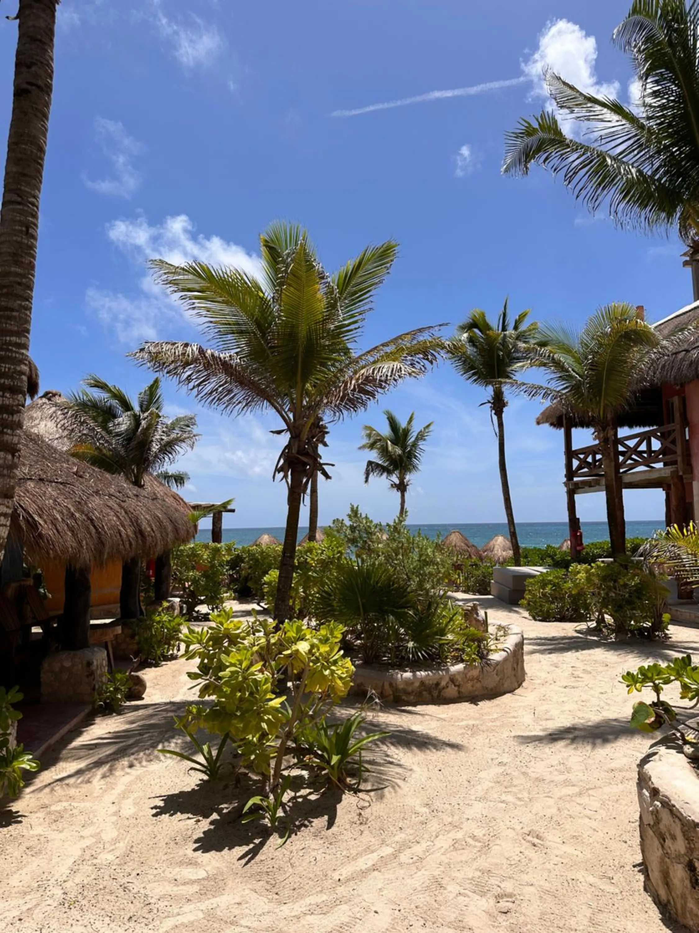 Garden in La Conchita Tulum