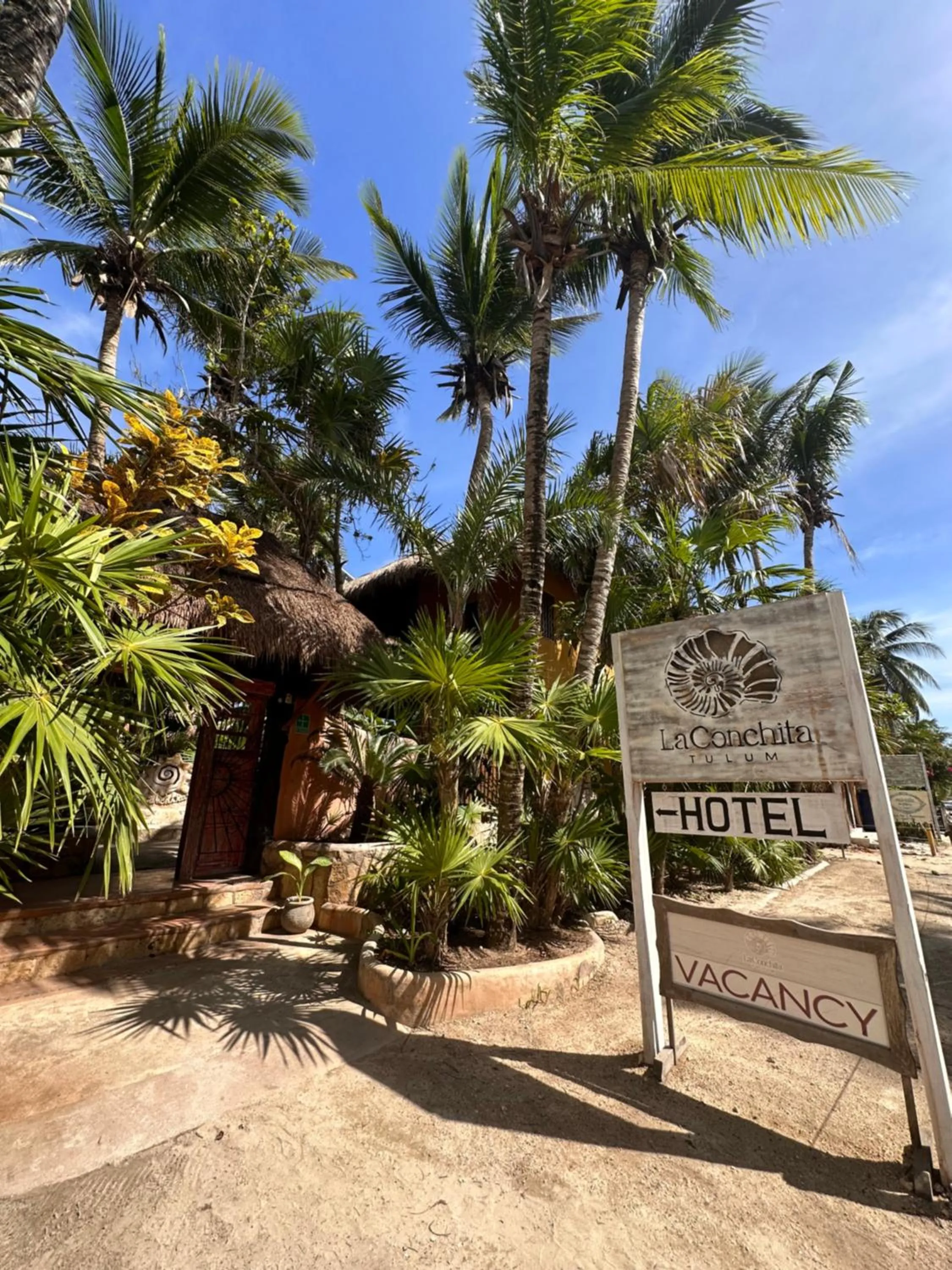 Garden in La Conchita Tulum