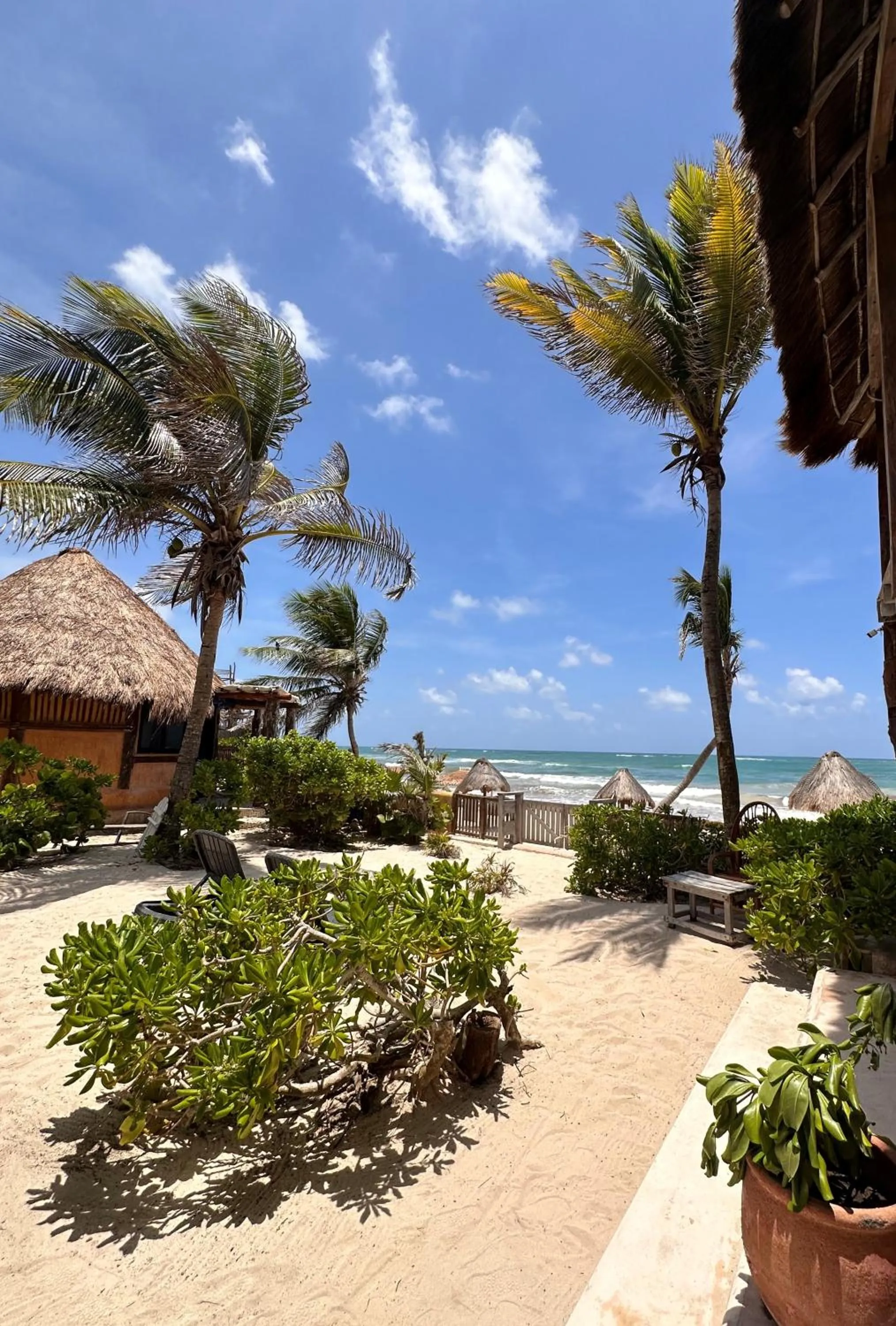 Property building in La Conchita Tulum