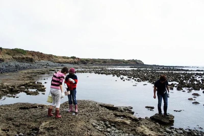 Natural landscape in The Domed Tile B&B