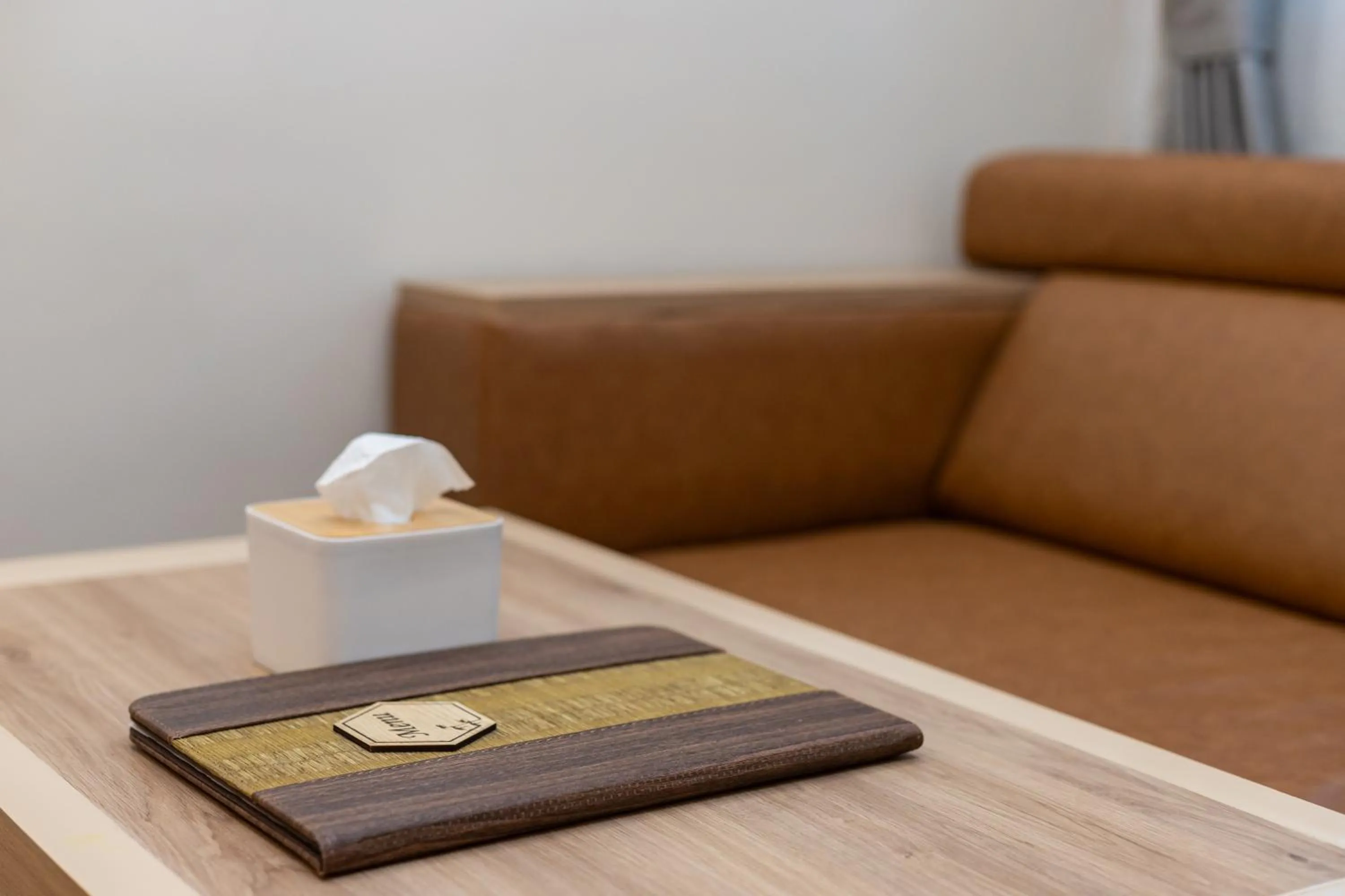 Area and facilities in Airport Diana Hotel