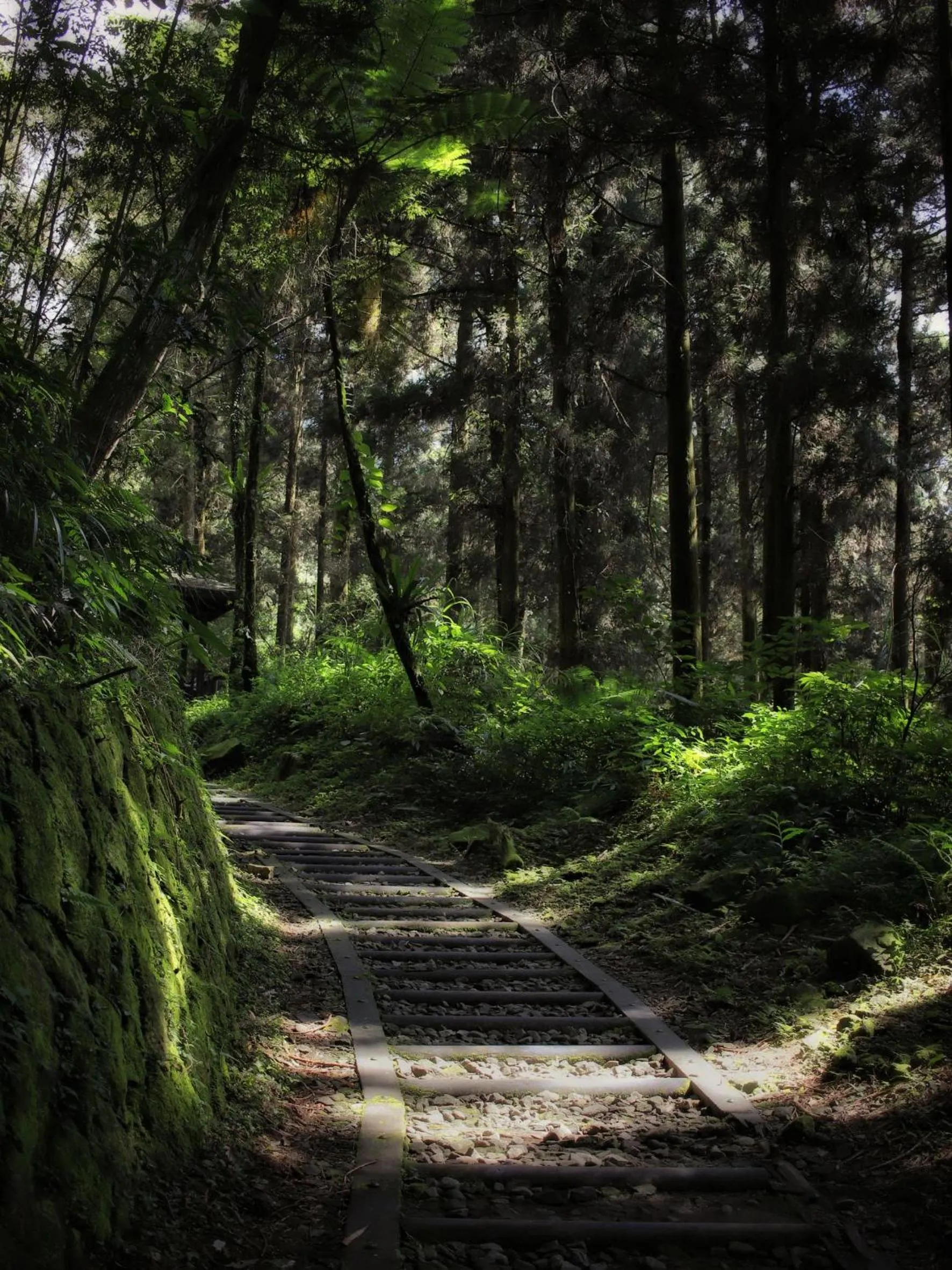 Natural landscape in Fenchihu Hotel