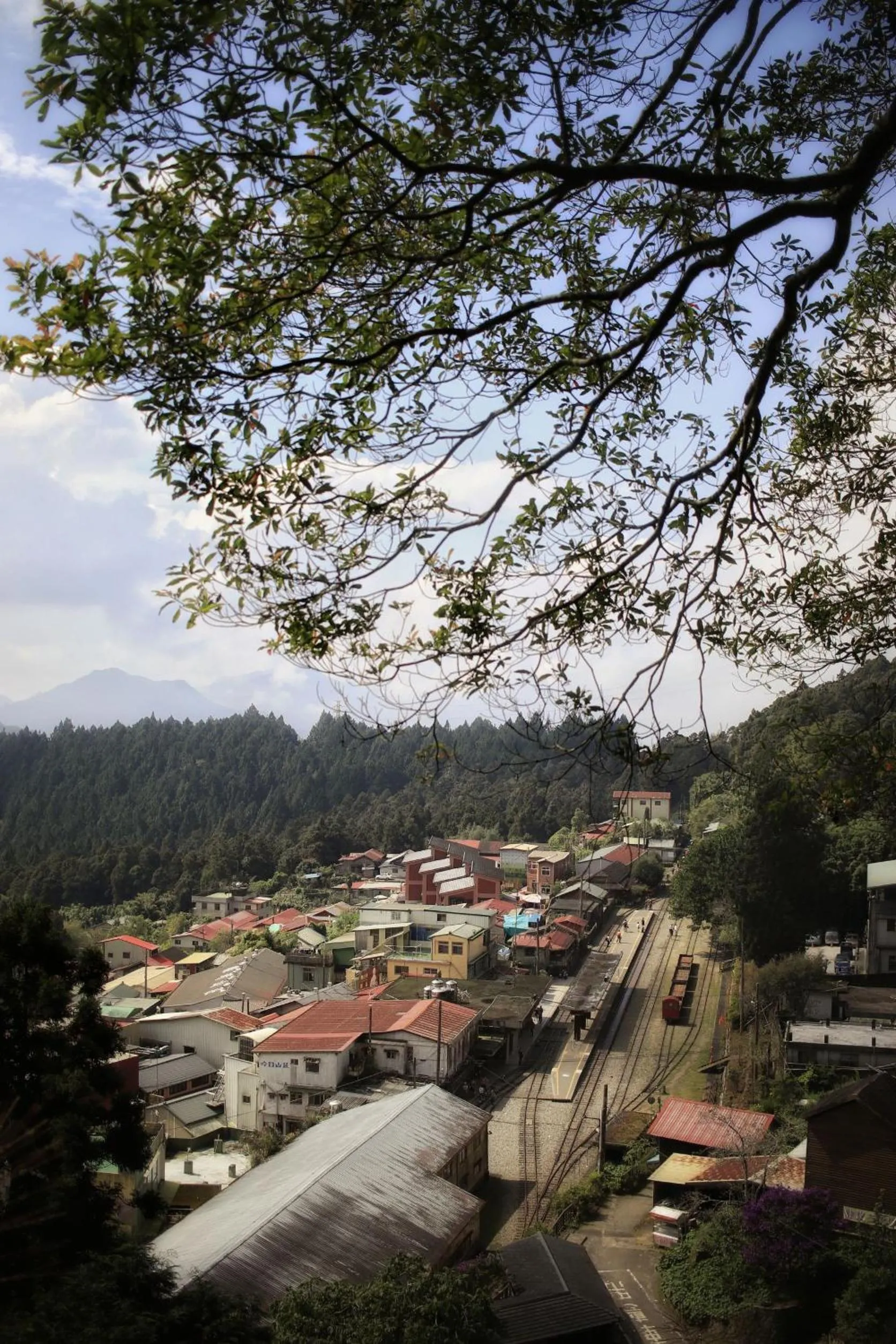 Natural landscape in Fenchihu Hotel