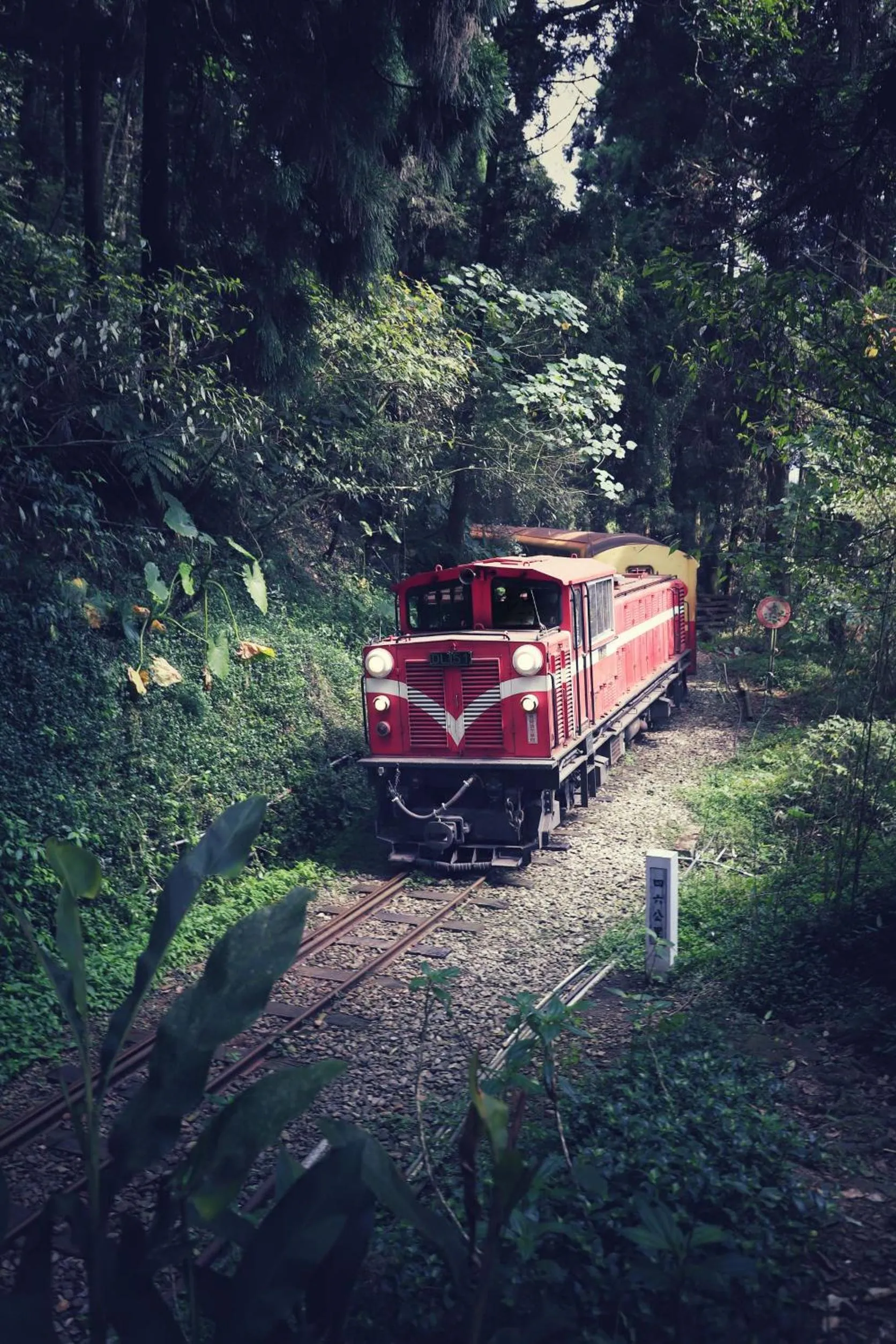 Natural landscape in Fenchihu Hotel