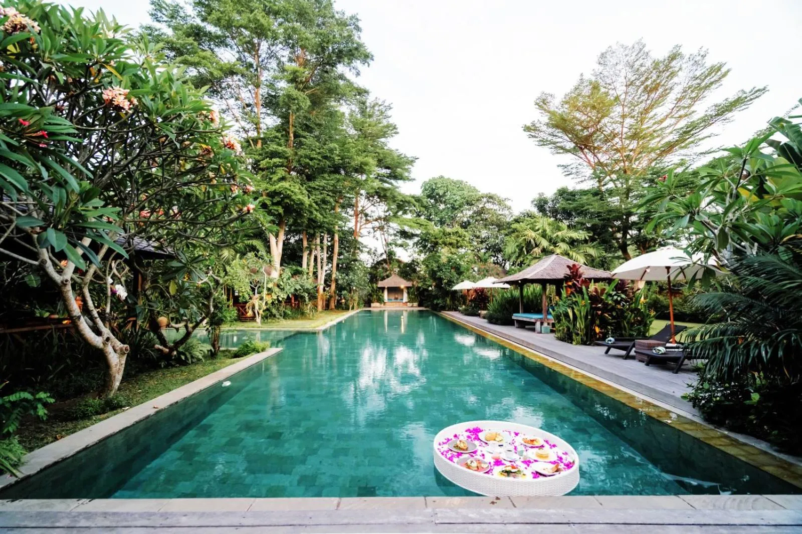 Swimming pool in Kropak Canggu