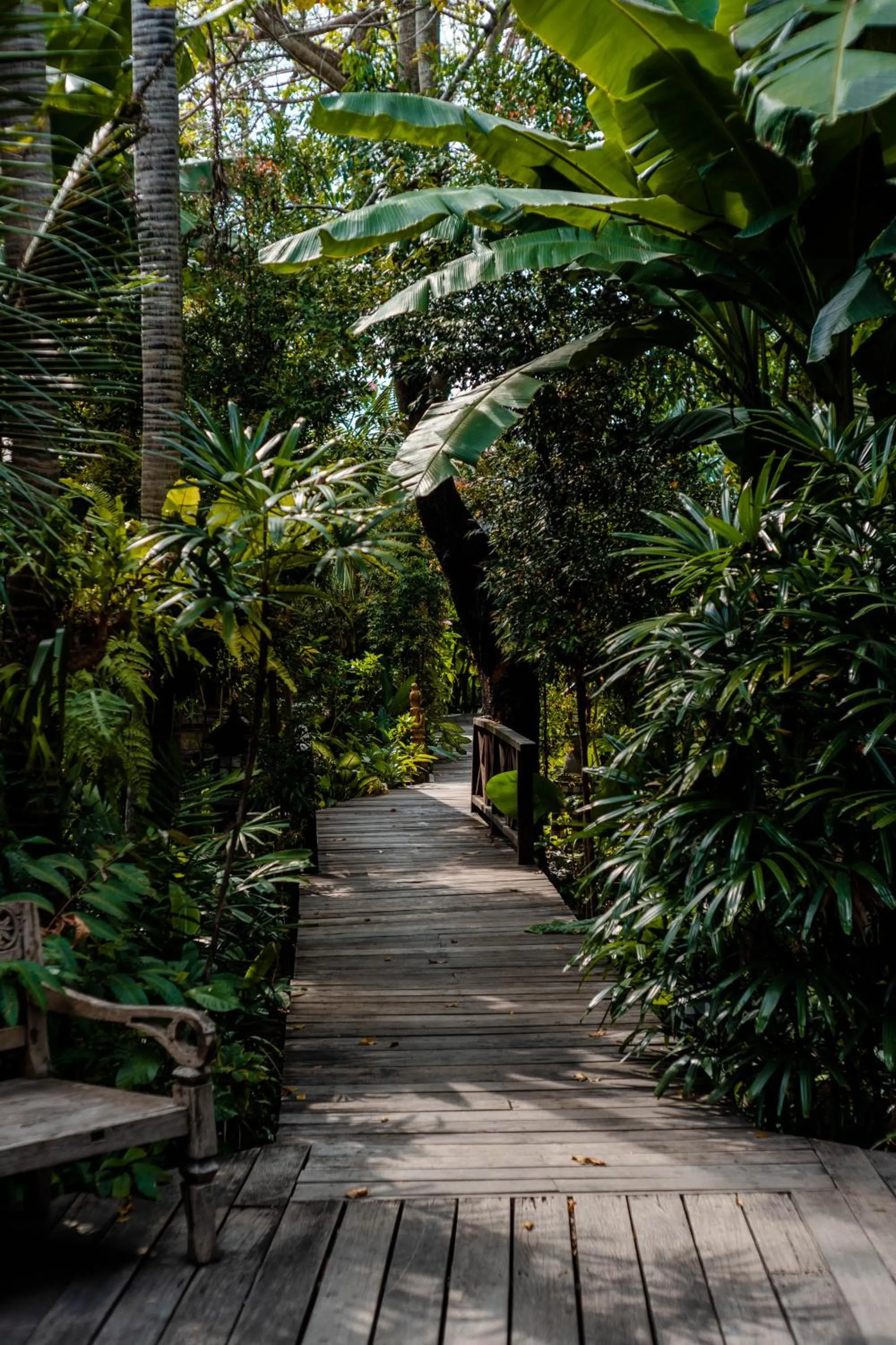 Garden in Kropak Canggu