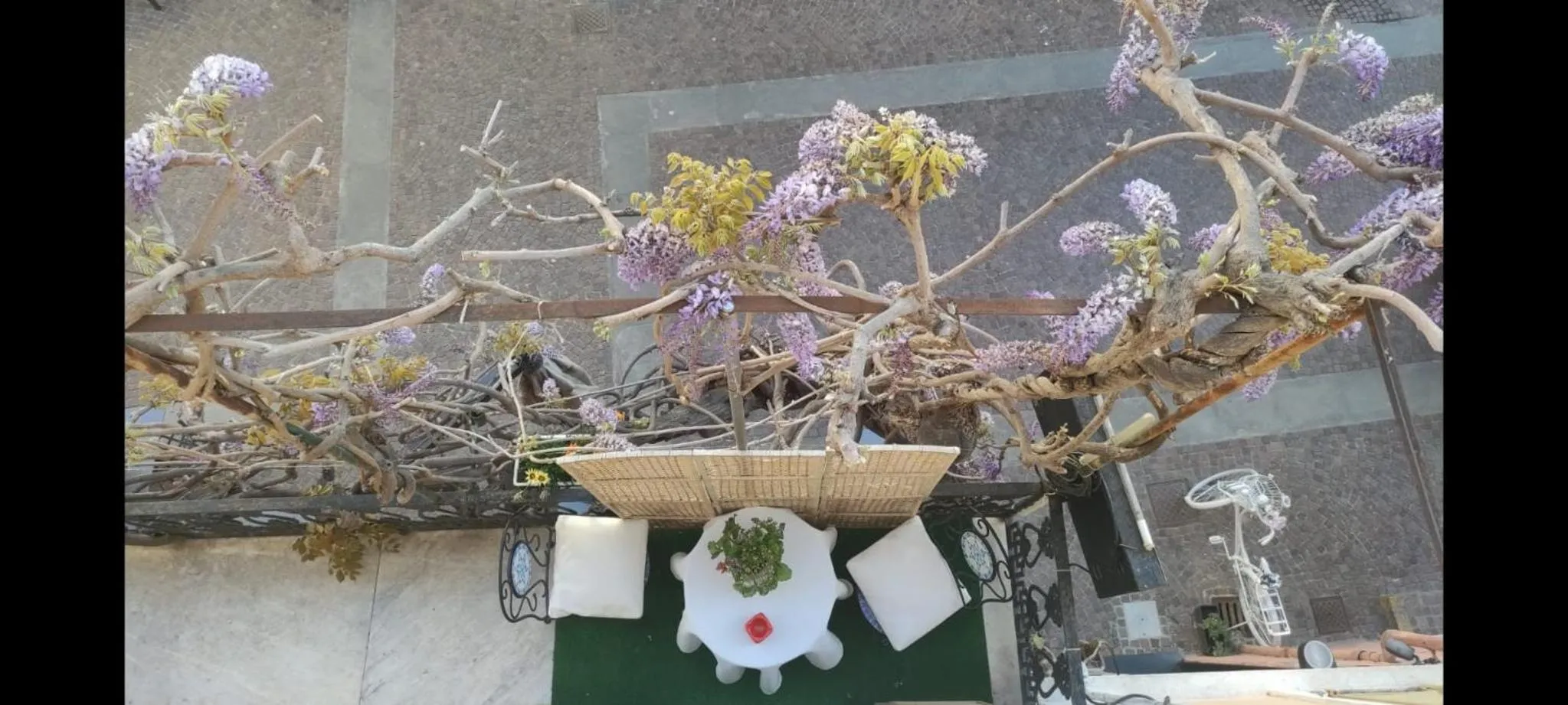 Property building in Hotel Glicine