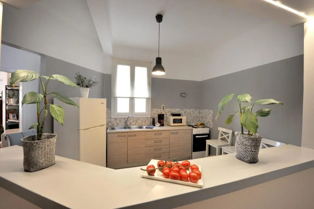 Kitchen or kitchenette in My Athens House