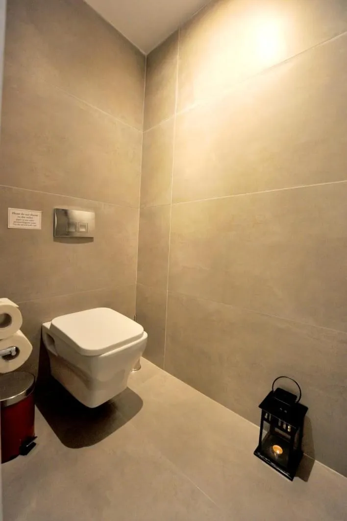 Toilet in My Athens House