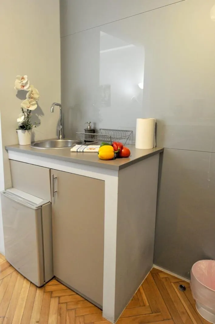 Kitchen or kitchenette in My Athens House