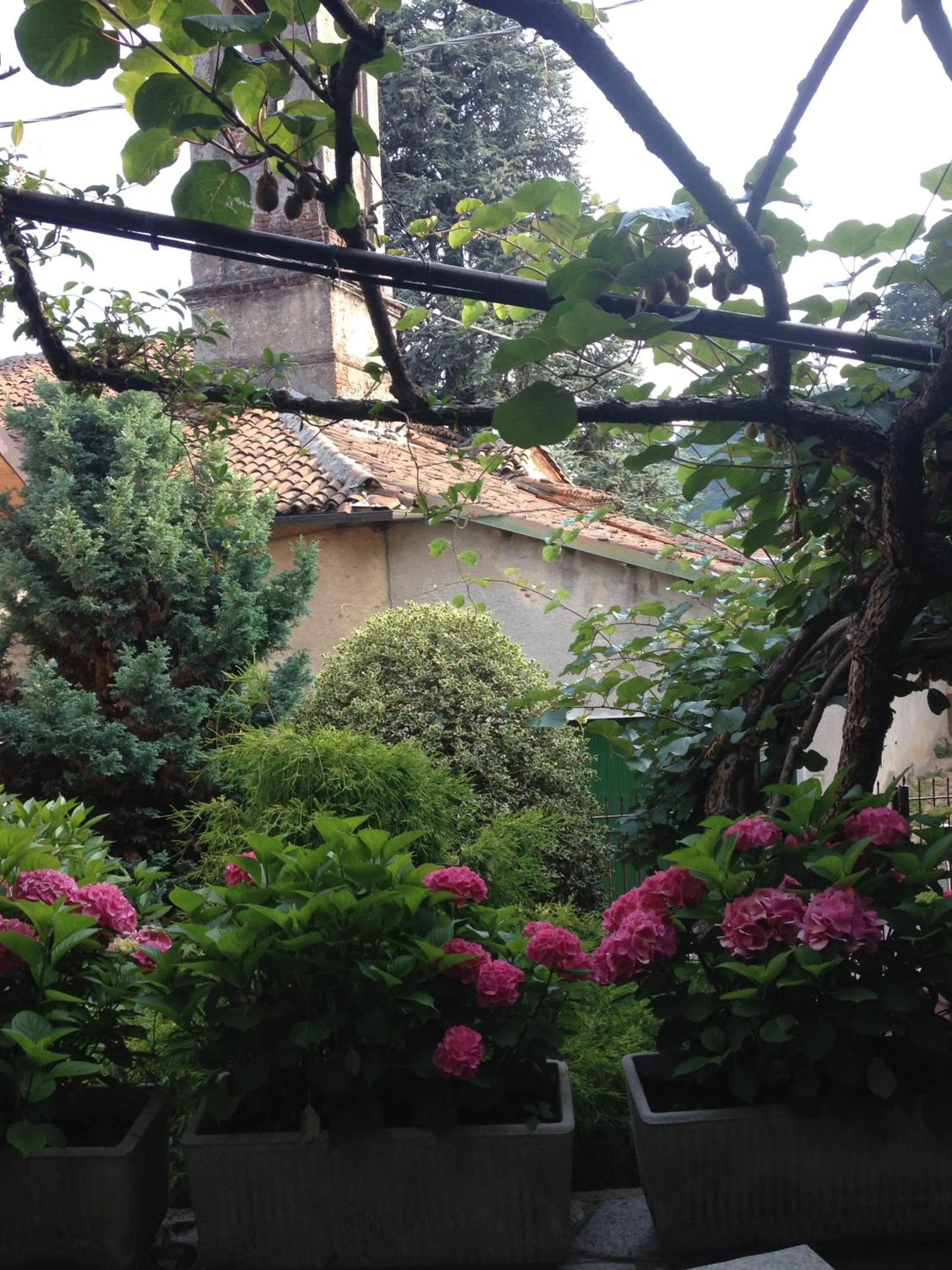 Garden view in Hotel e trattoria San Giorgio