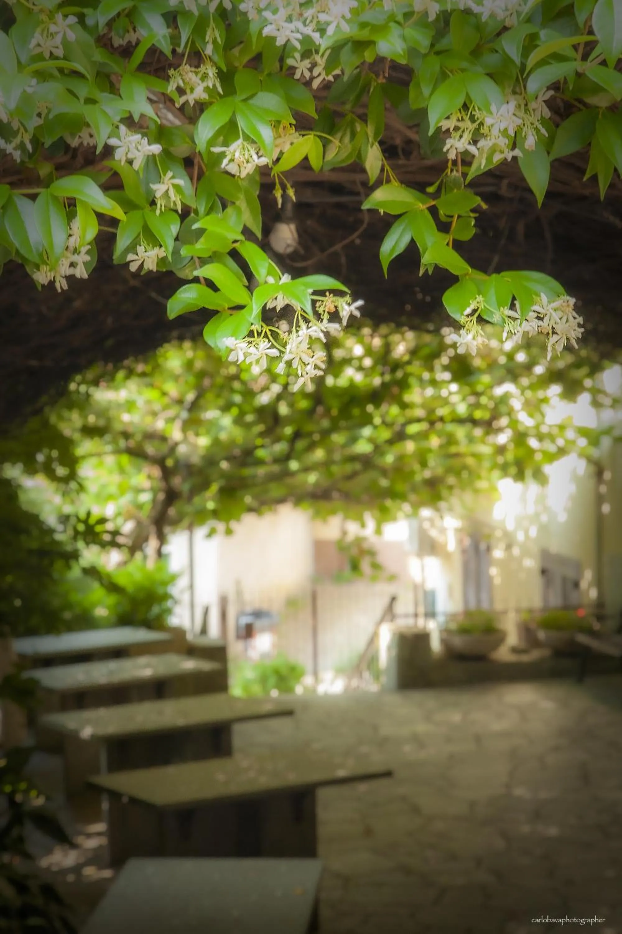 Hotel e trattoria San Giorgio