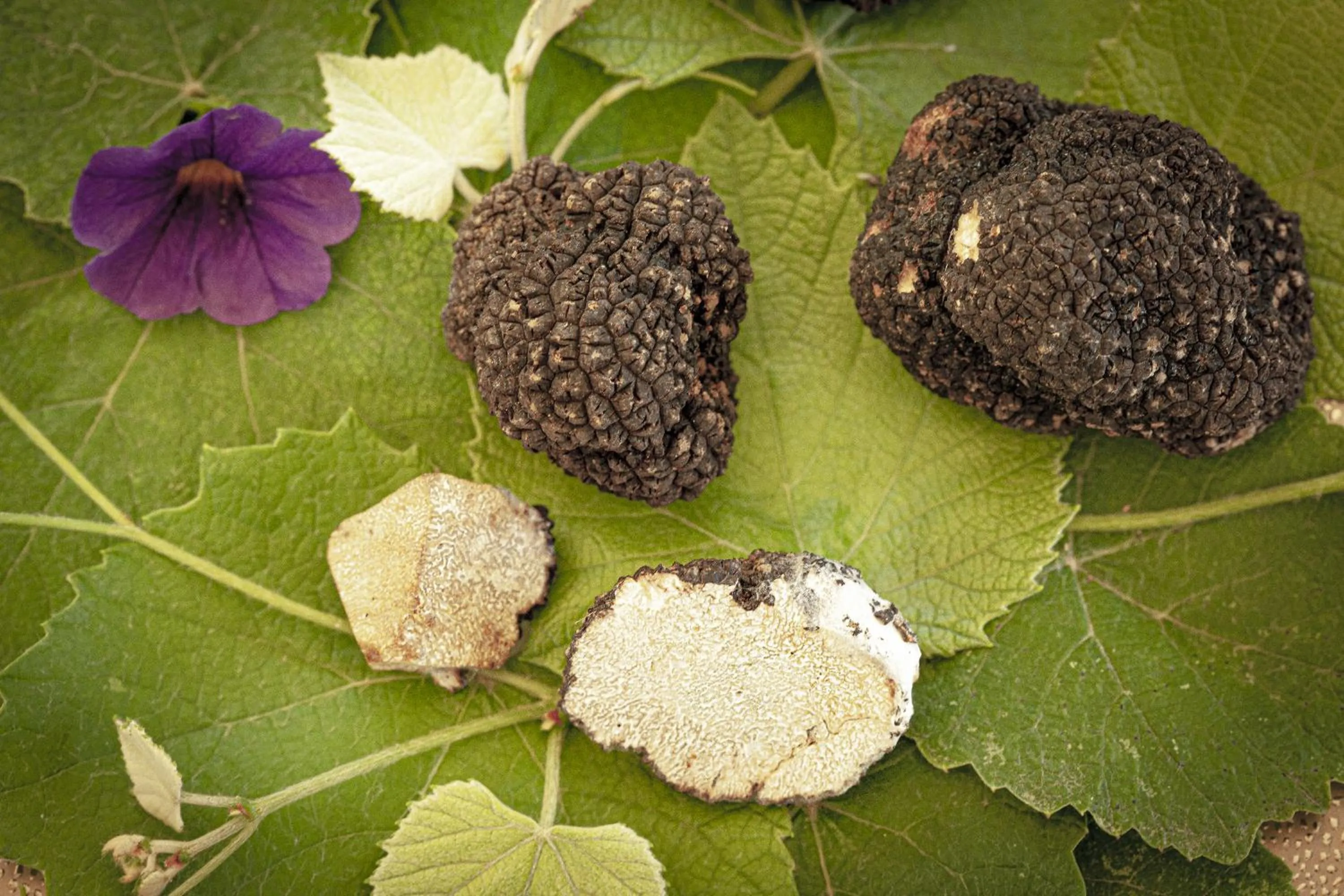 Hotel e trattoria San Giorgio