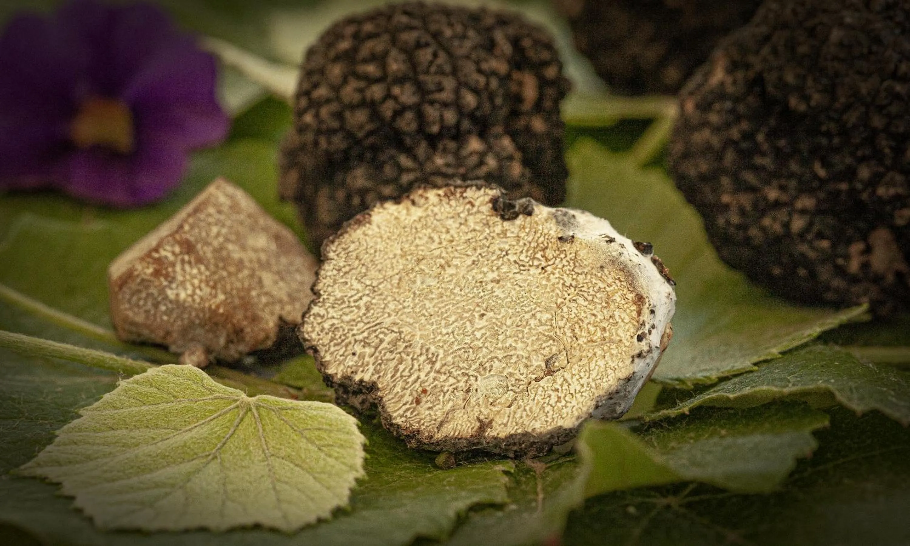 Hotel e trattoria San Giorgio