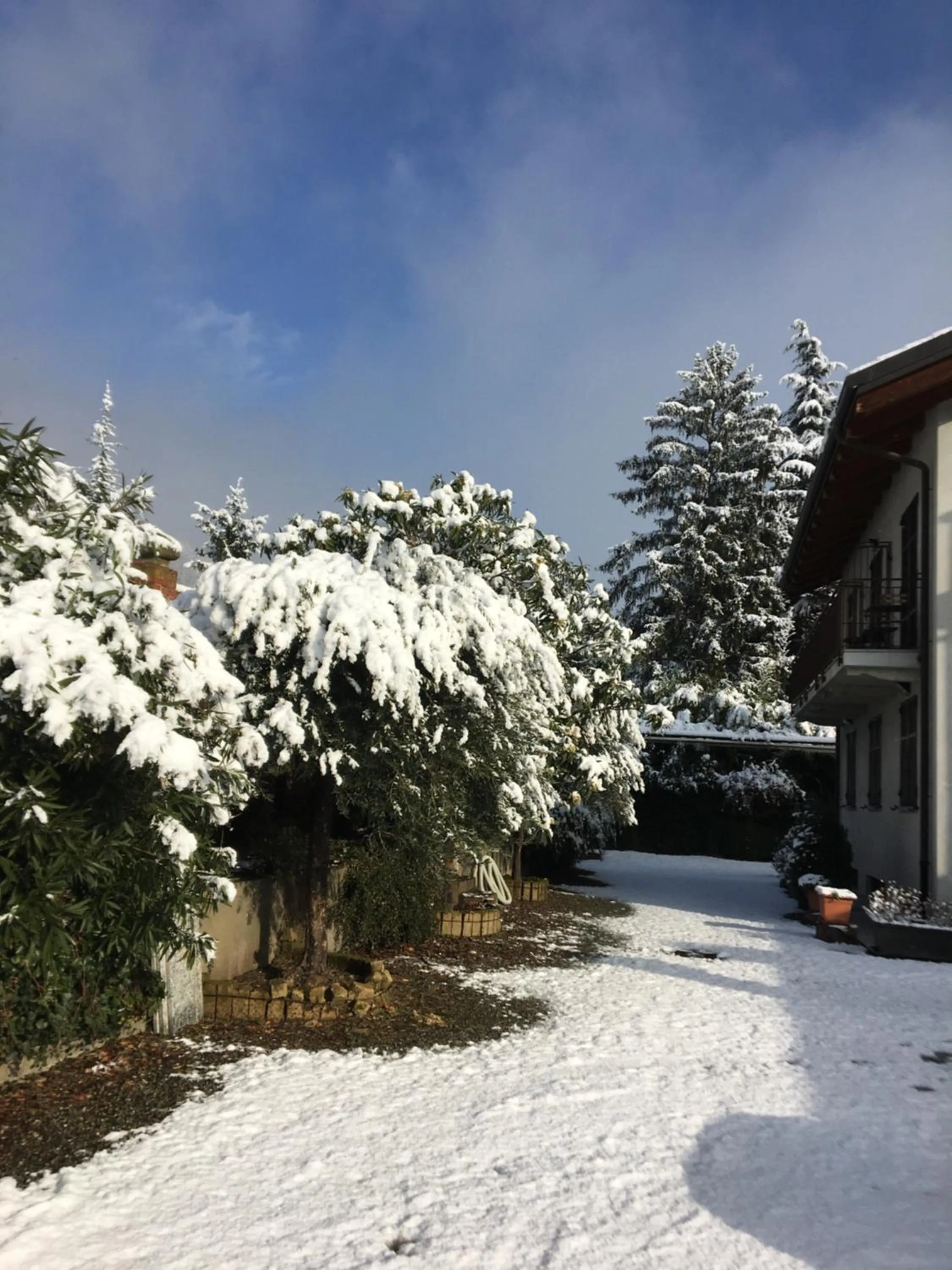 Garden view in Hotel e trattoria San Giorgio