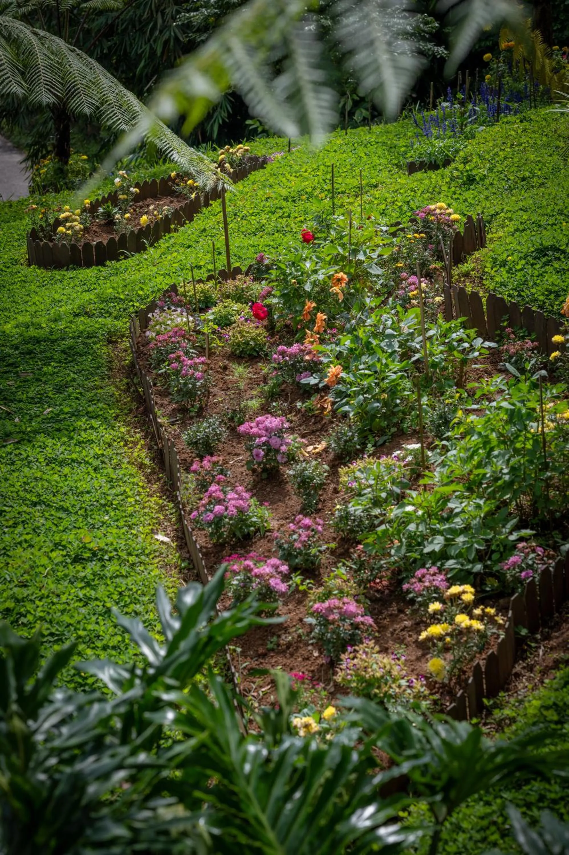 Garden view in Umah Lusa