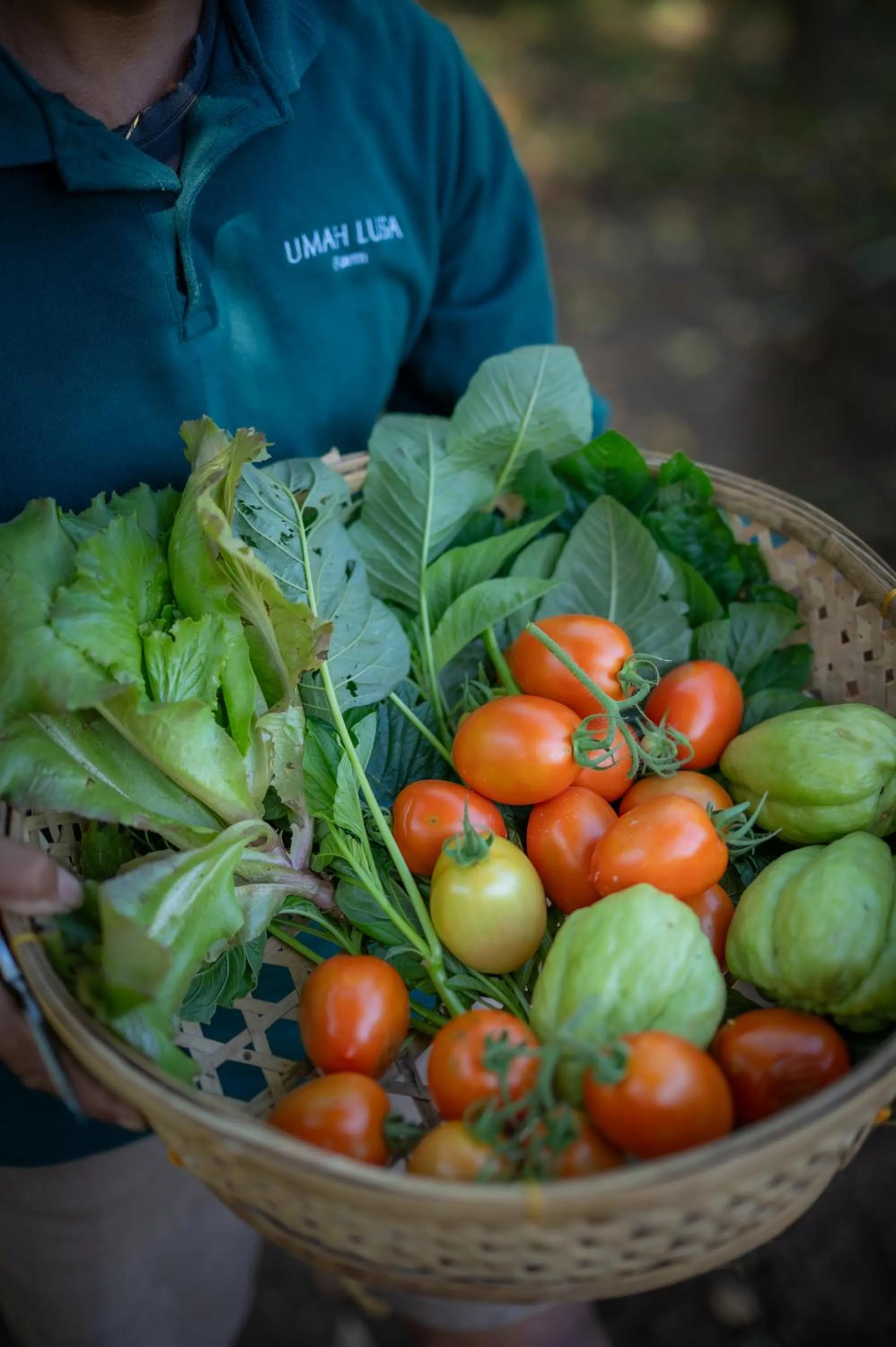 Activities in Umah Lusa