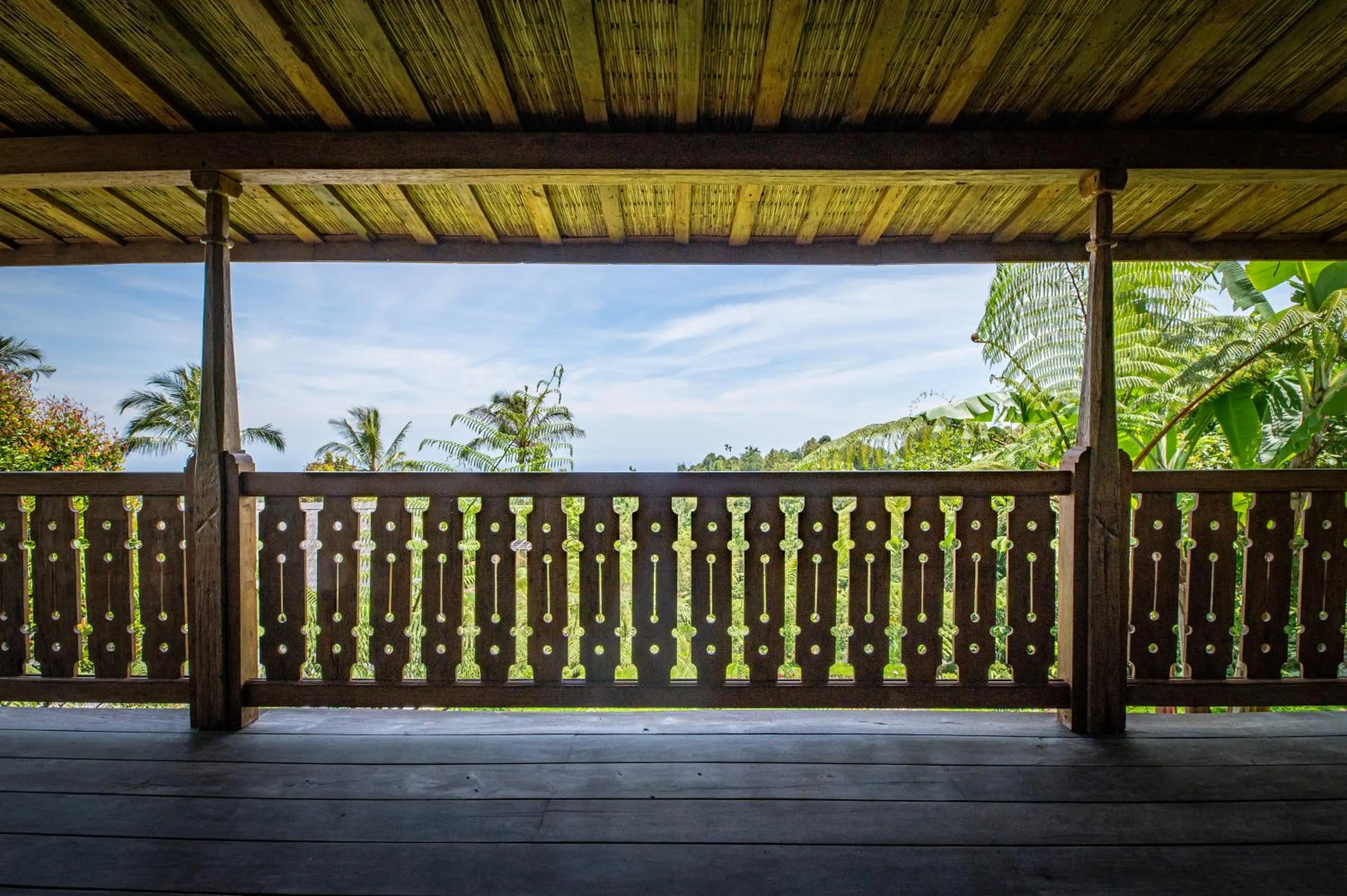 View (from property/room) in Umah Lusa