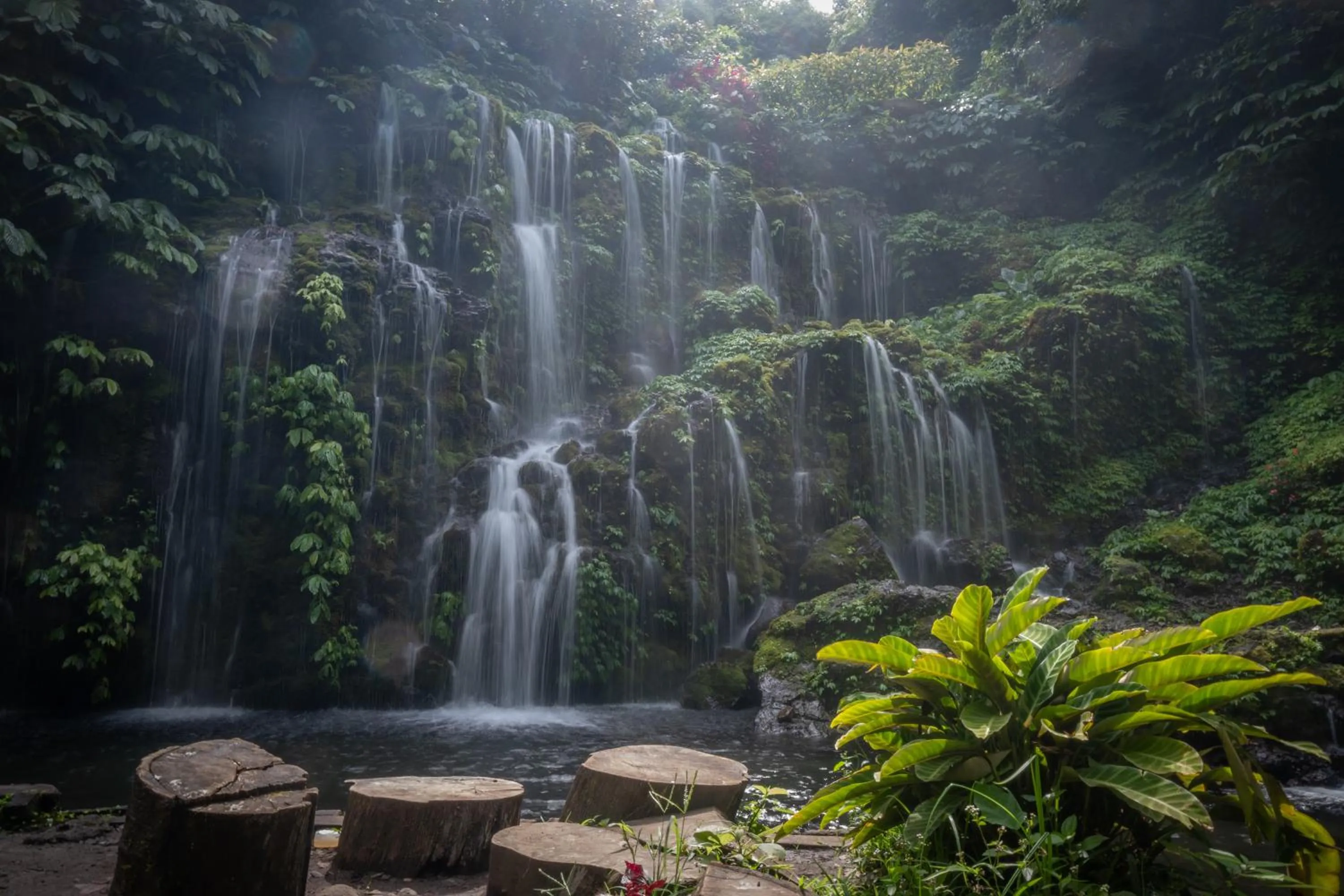 Activities in Umah Lusa