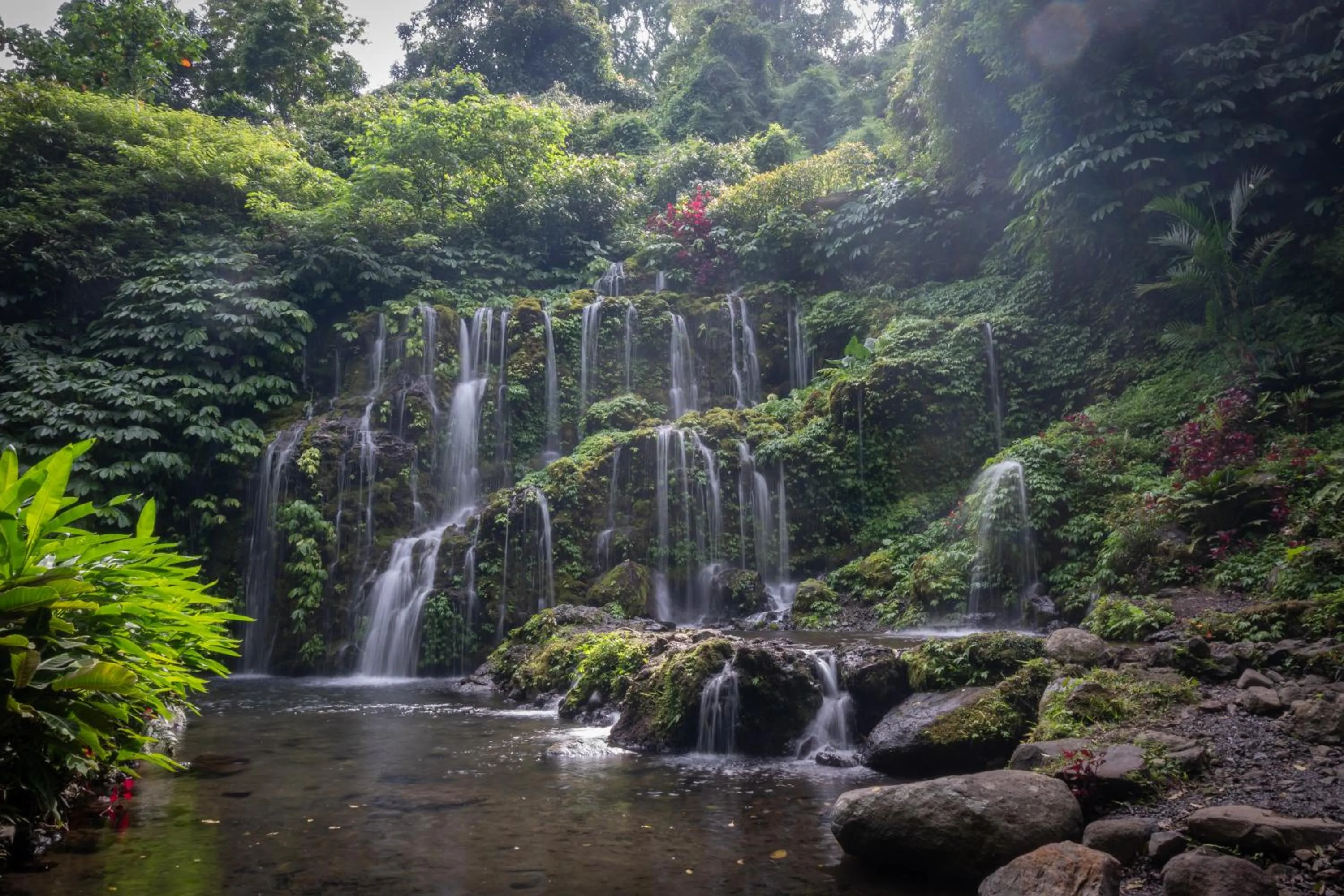 Activities in Umah Lusa