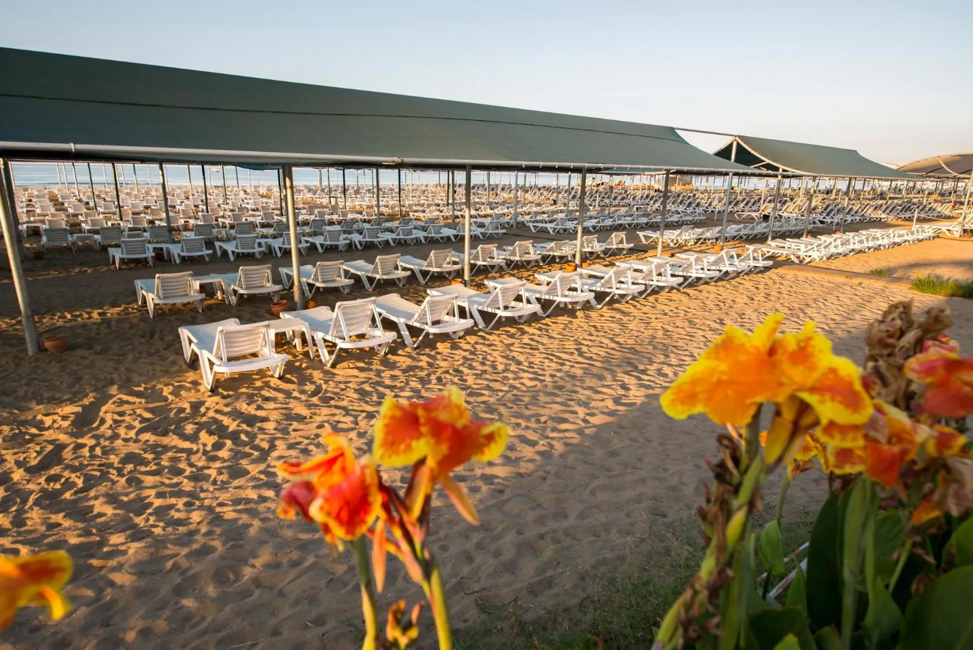 Beach in Palm World Side Resort & Spa