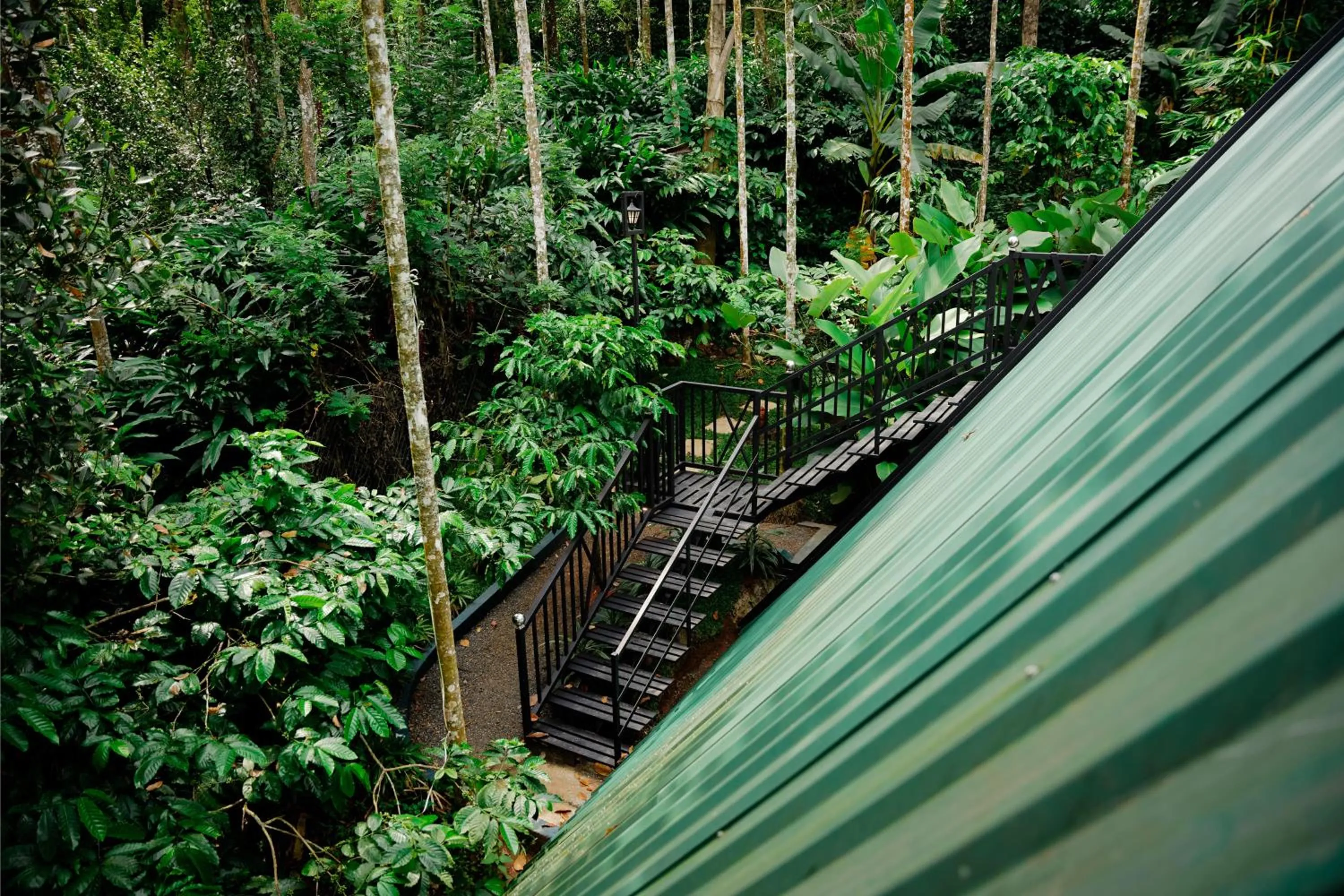 Spring in Ethnic Villa Wayanad