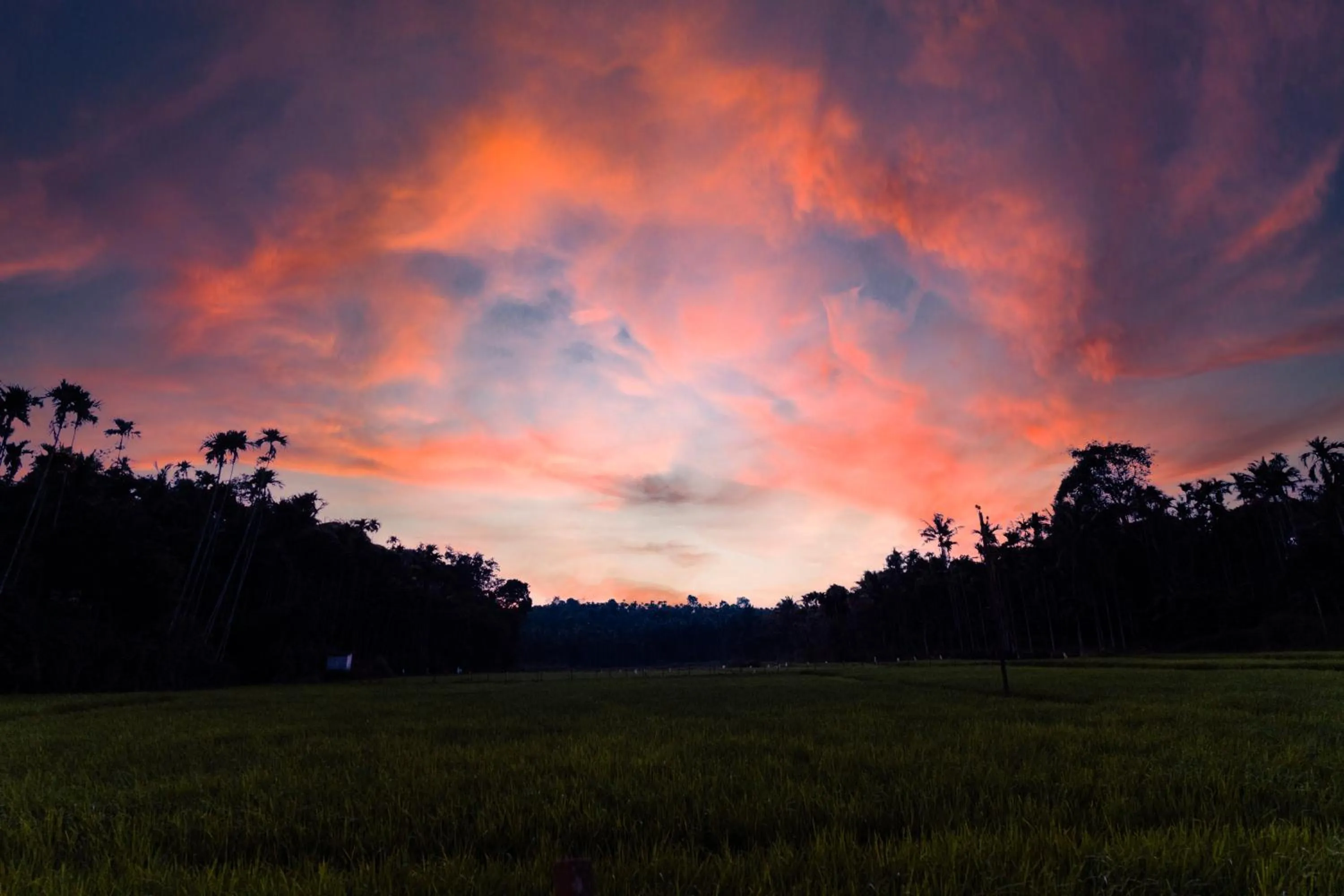 Day in Ethnic Villa Wayanad