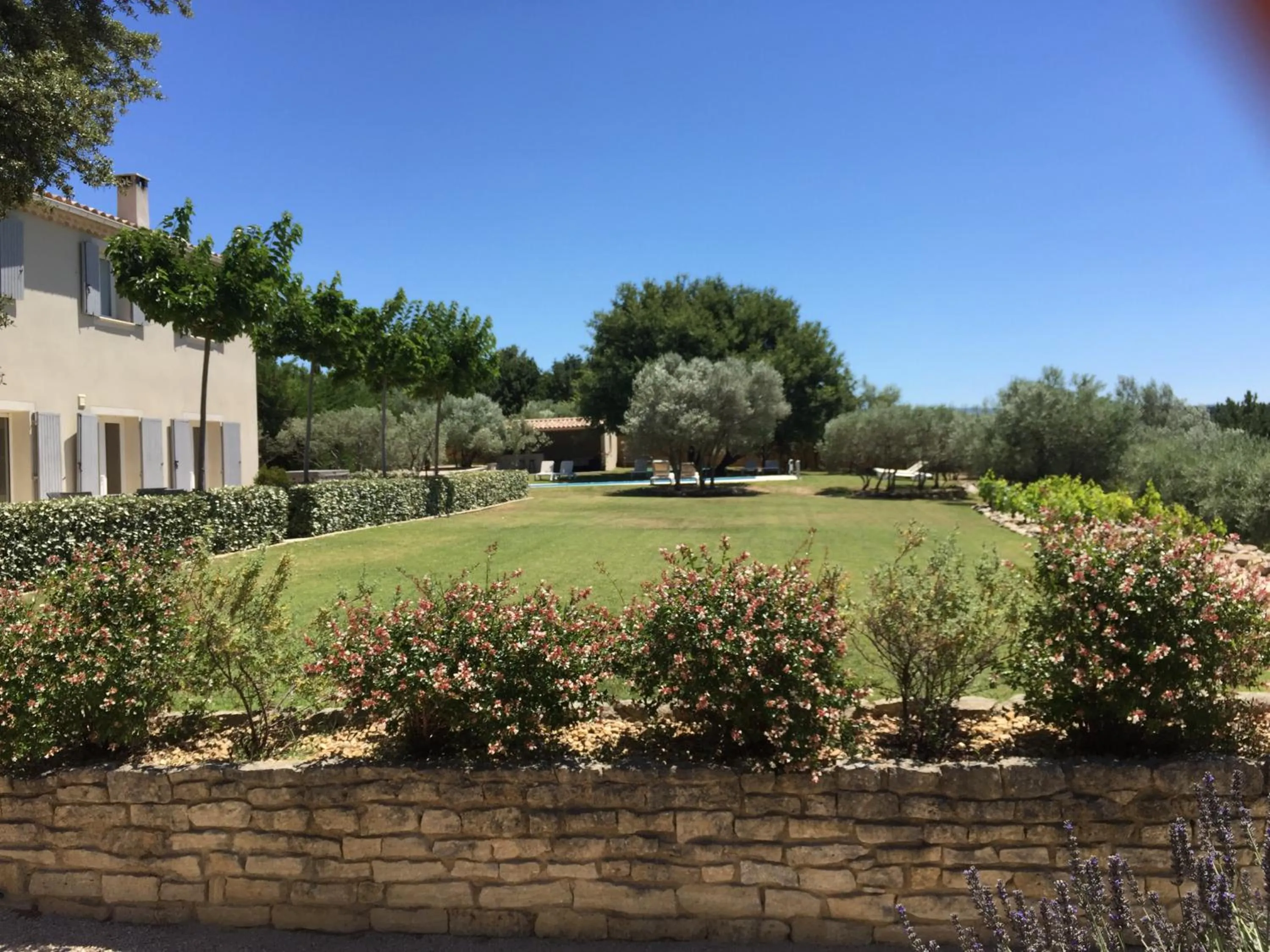 Garden view in La Bastide au Ventoux