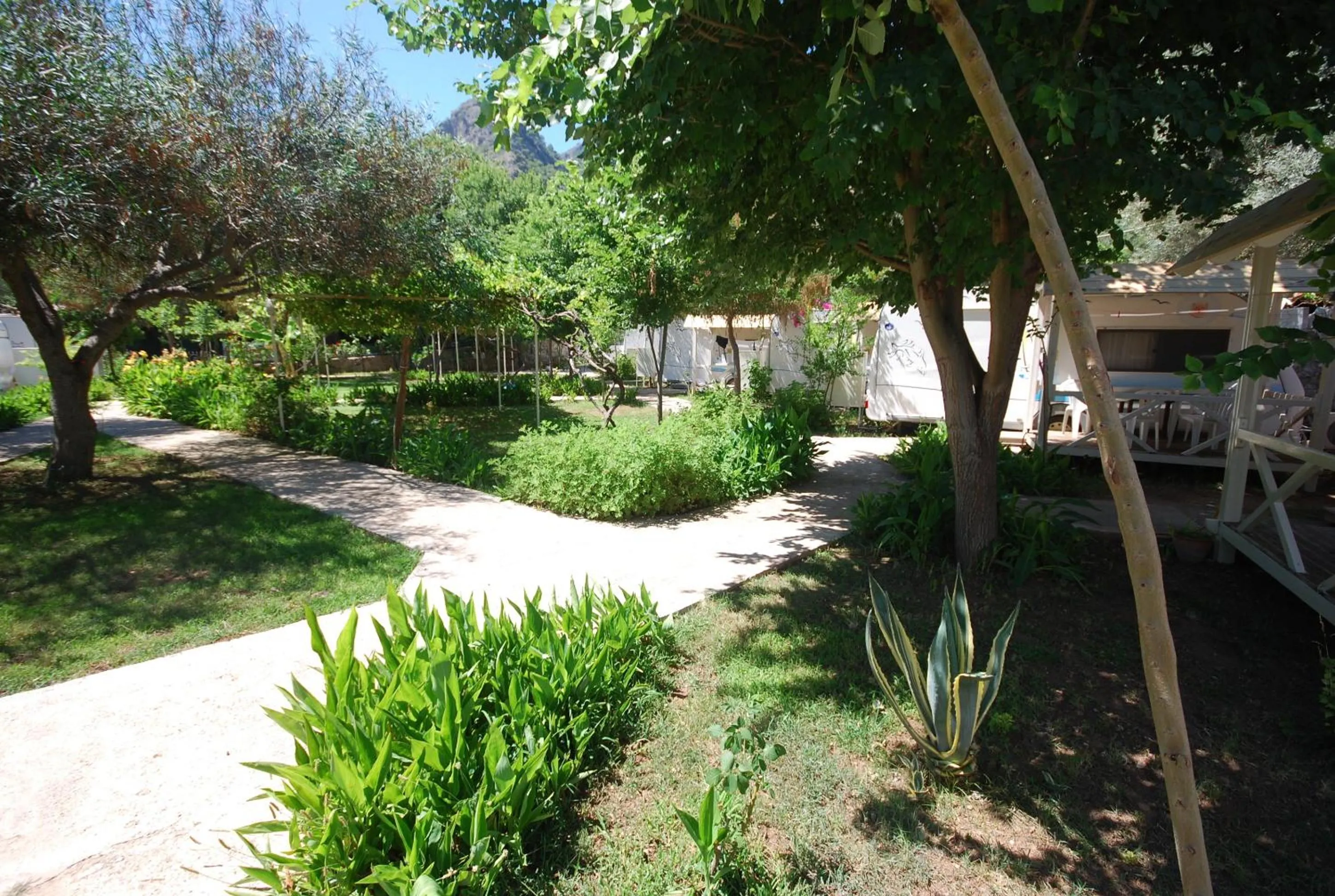 Garden in S3 Seahorse Beach Club