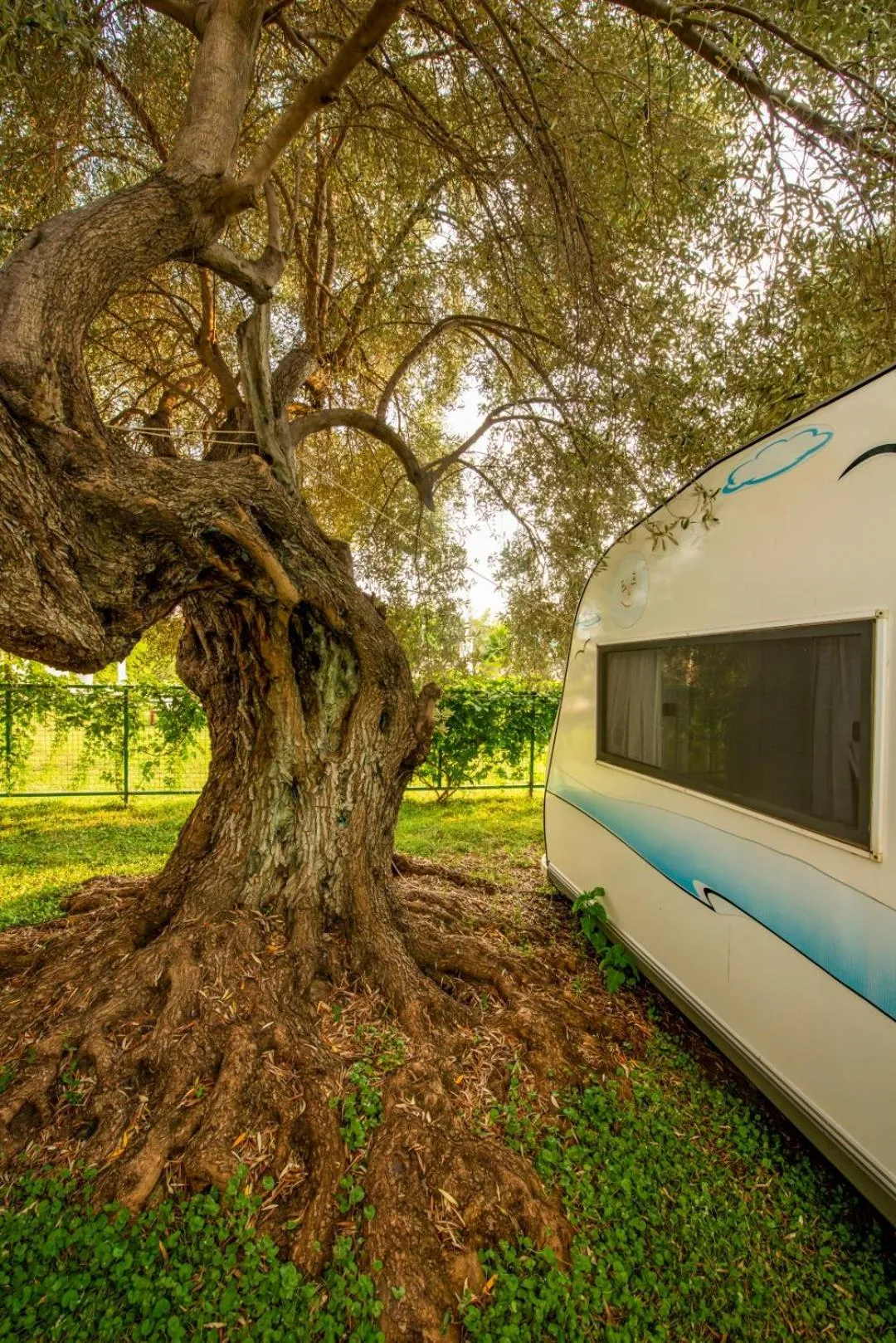 Garden in S3 Seahorse Beach Club
