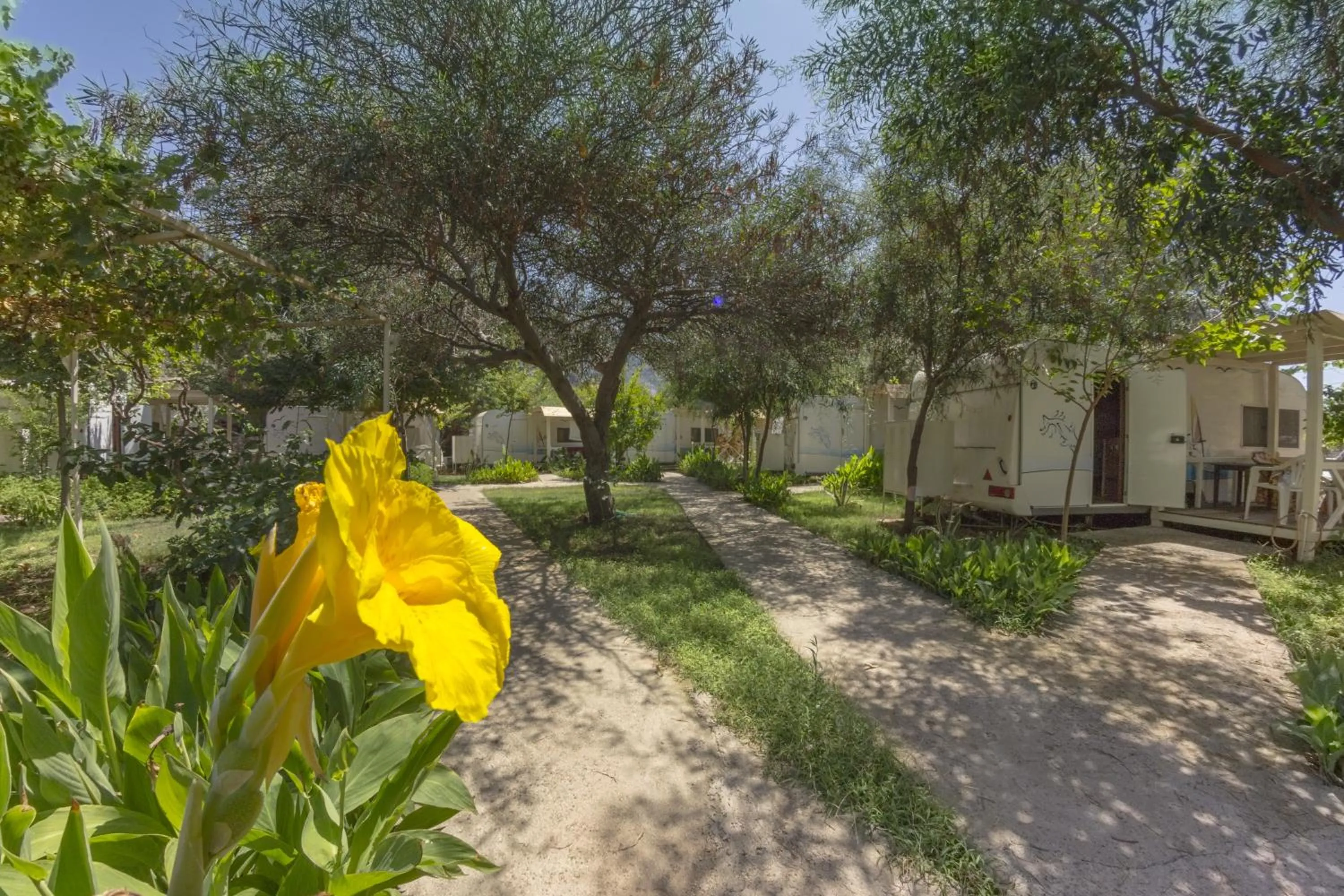 Garden in S3 Seahorse Beach Club