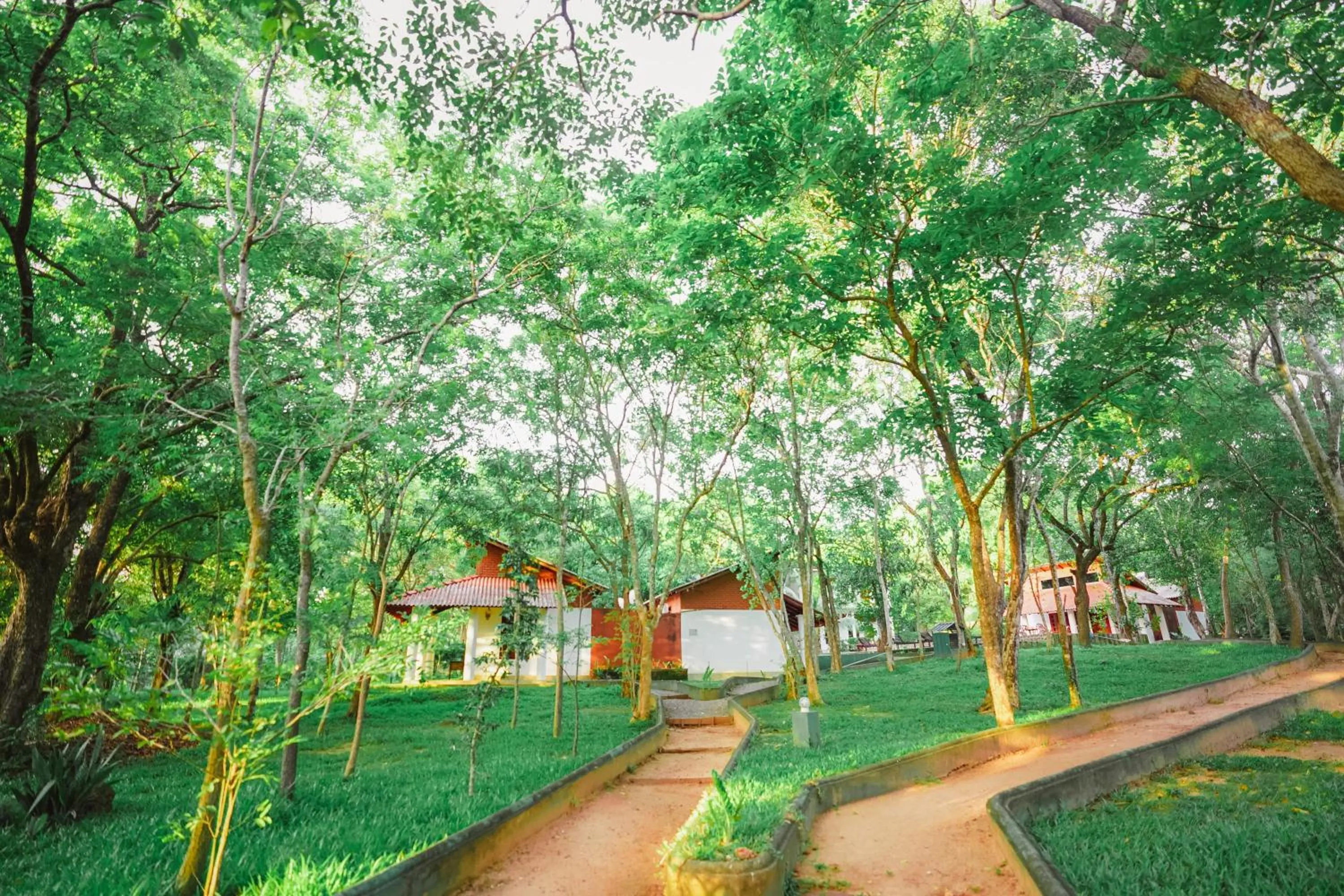 Garden in Vaana Resort