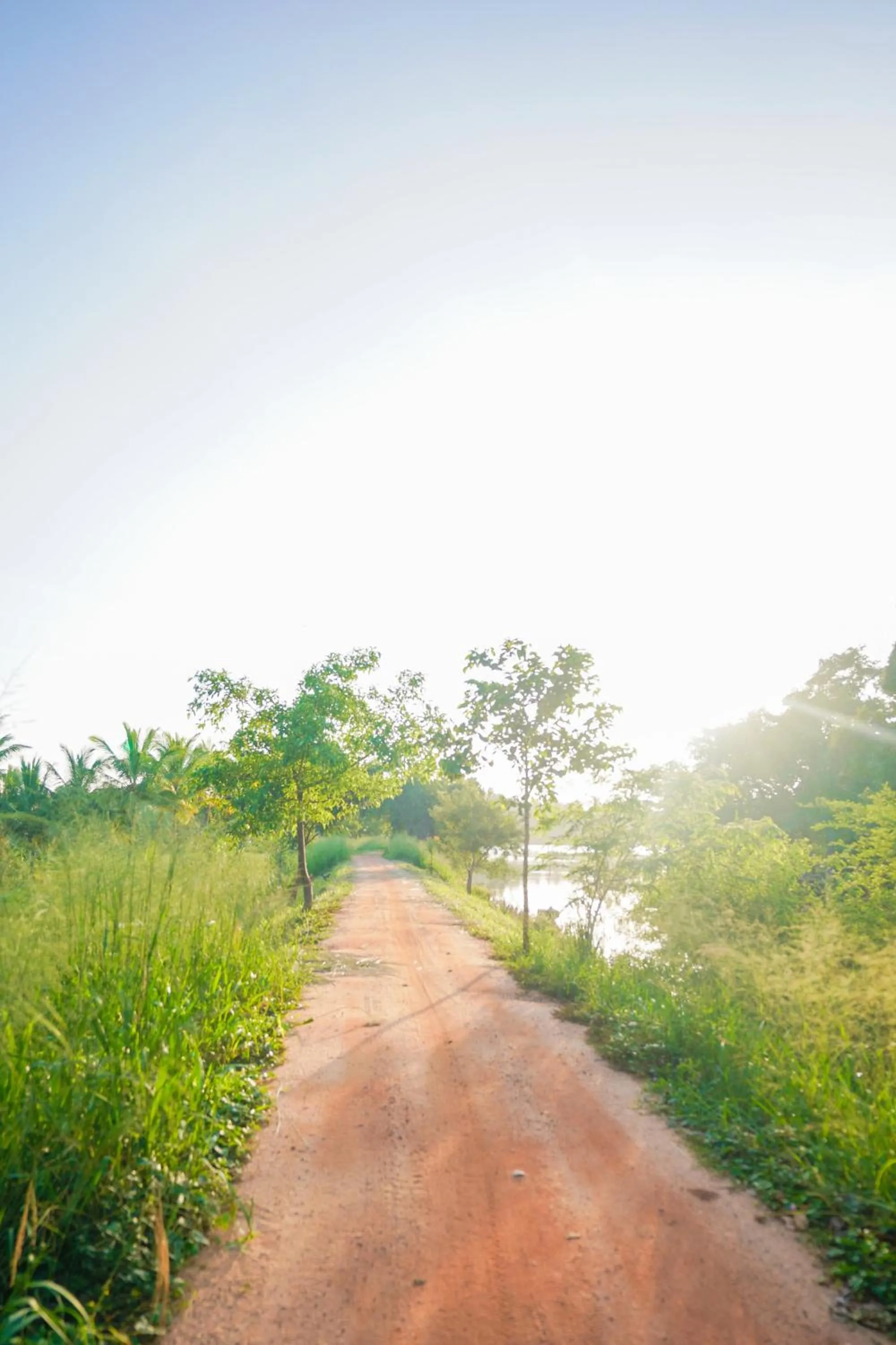 Natural landscape in Vaana Resort