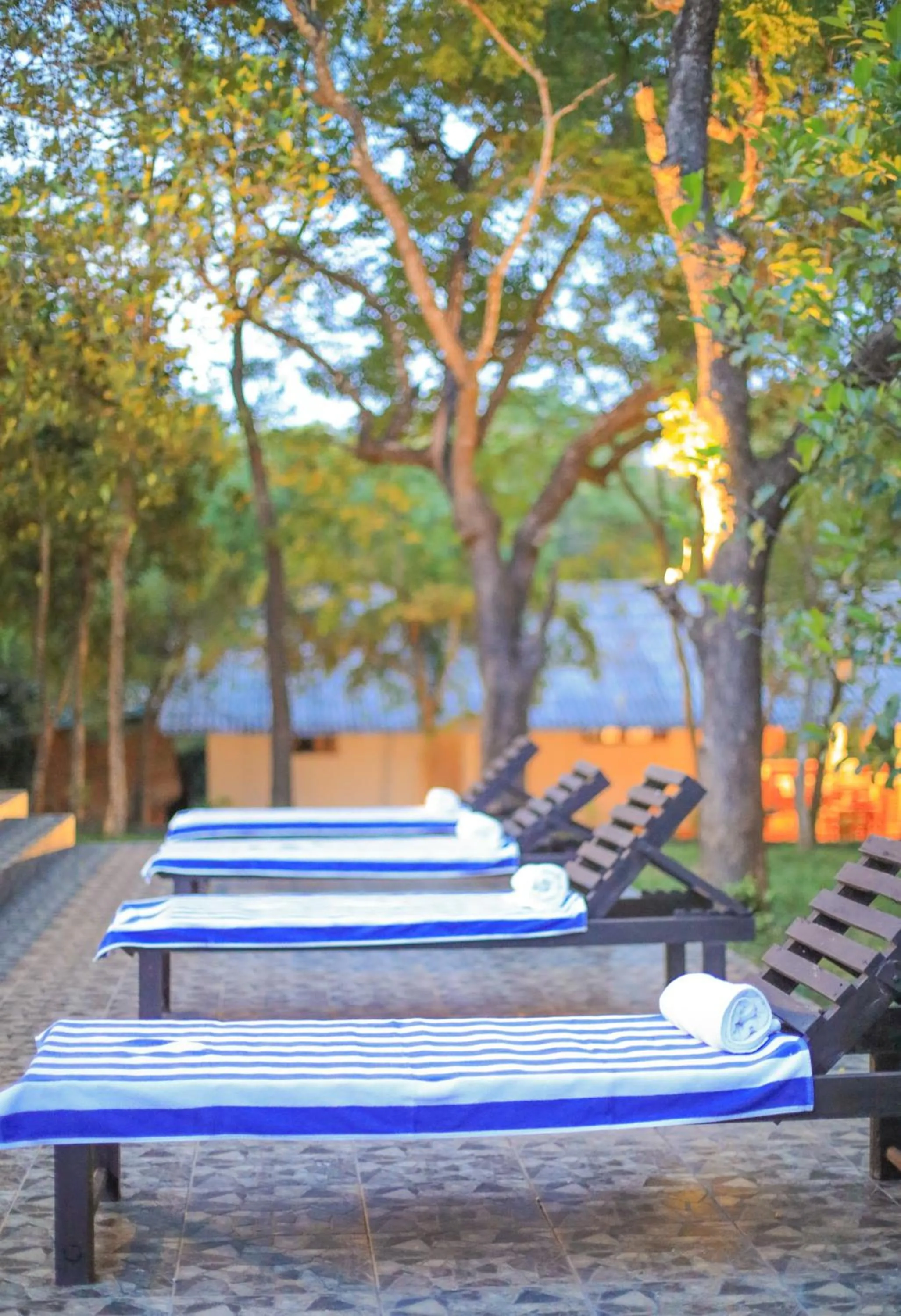 Swimming pool in Vaana Resort