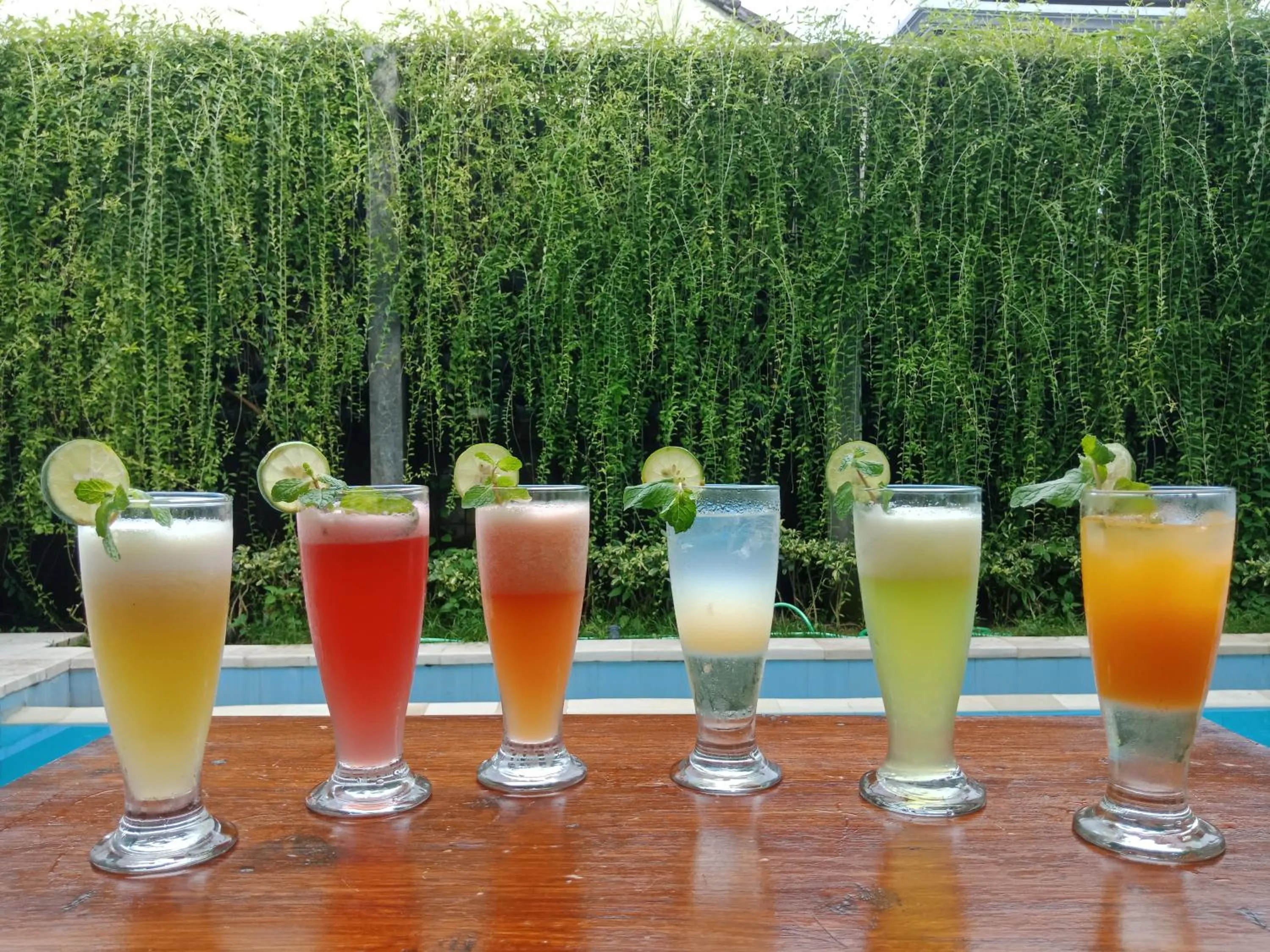 Drinks in Paras Paros Marina Lodge