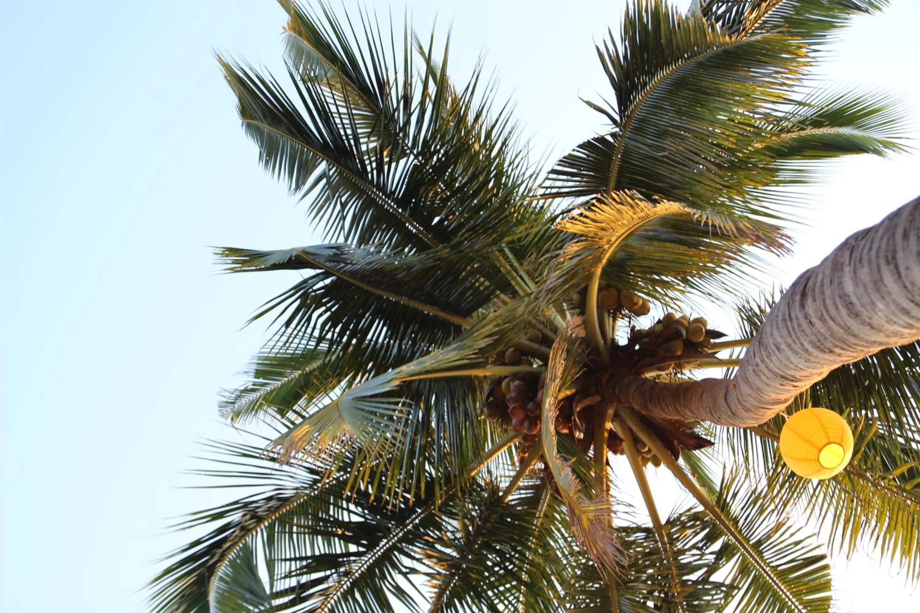 View (from property/room) in Sea Star Resort