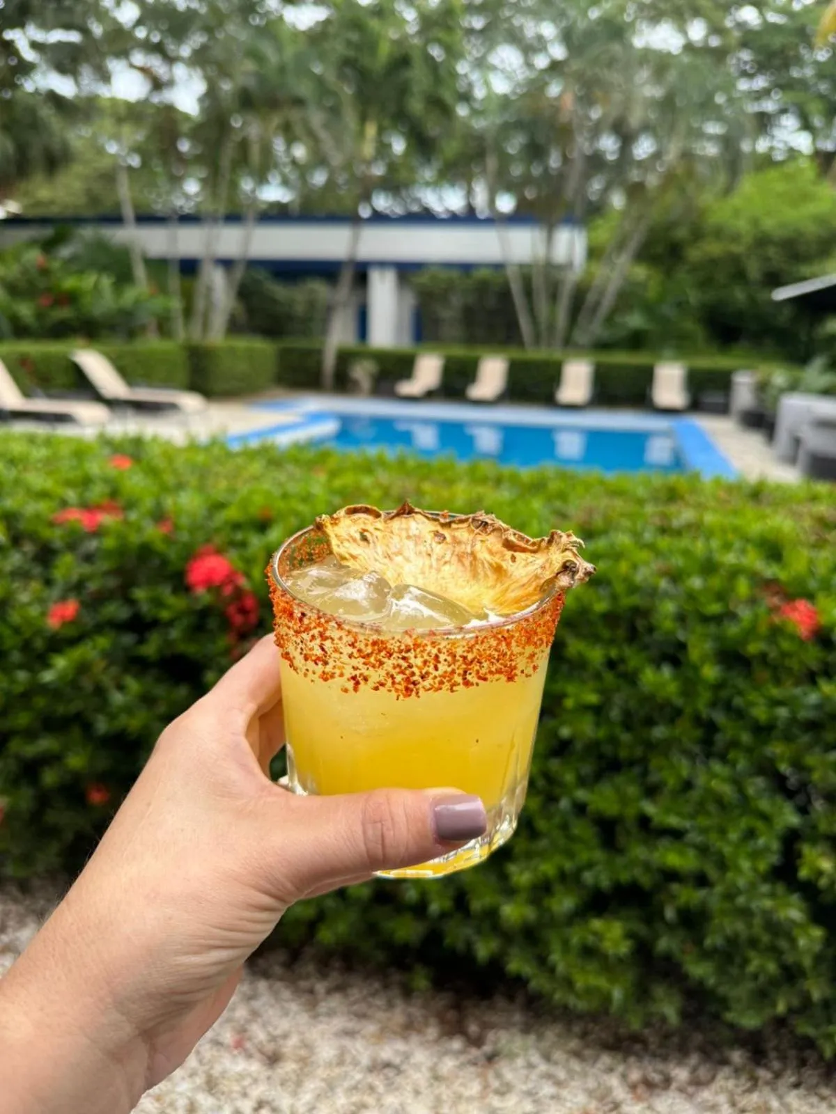 Drinks in La Puerta del Sol