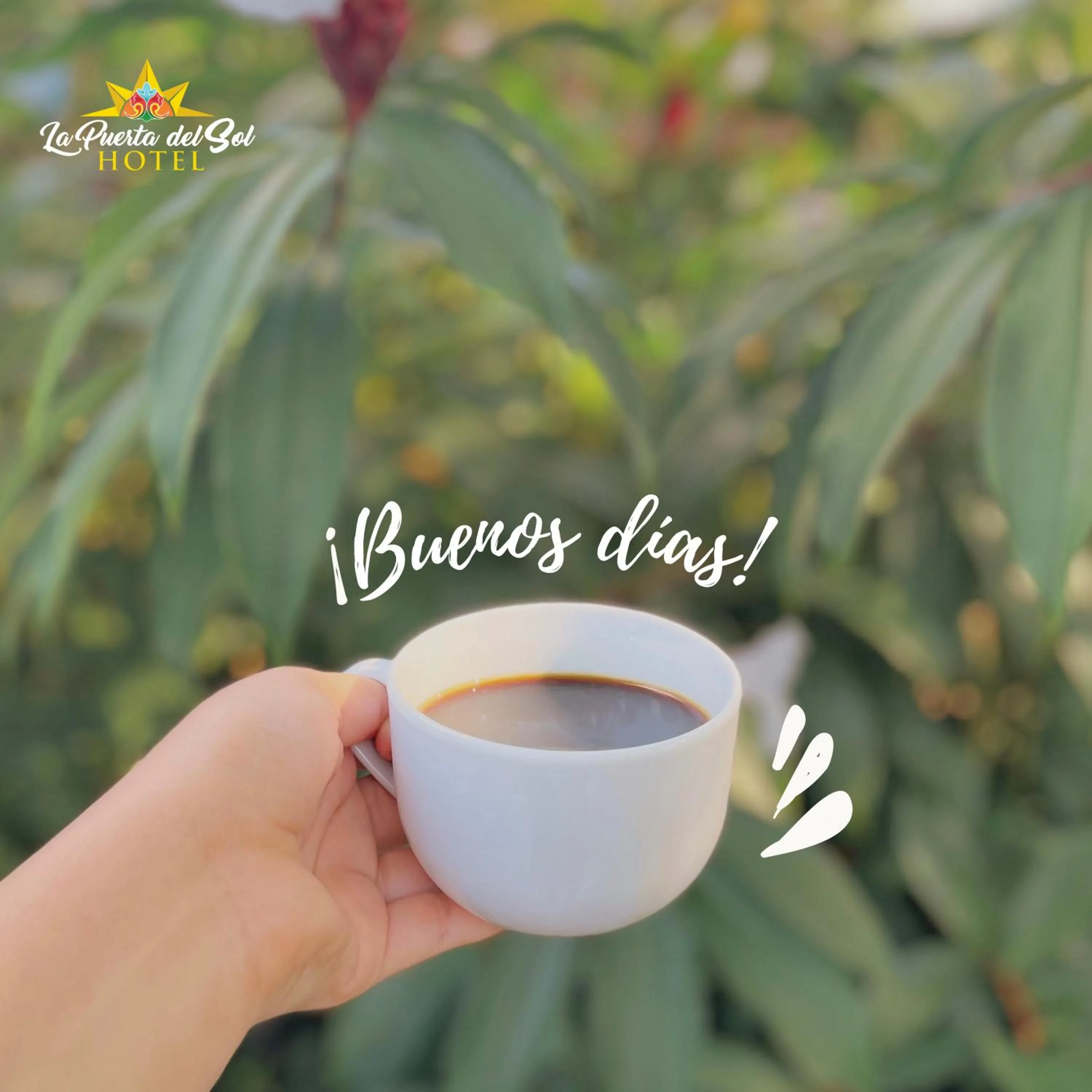 Breakfast in La Puerta del Sol